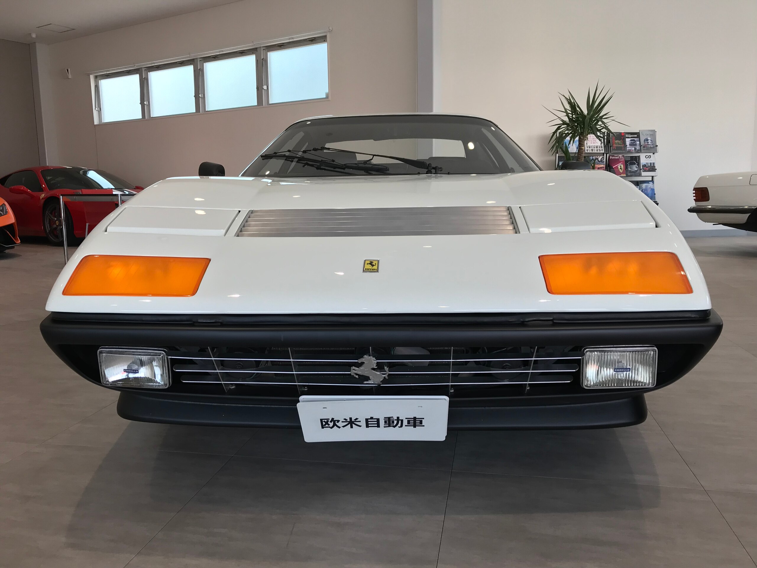 Ferrari 512BB (photo: 2)