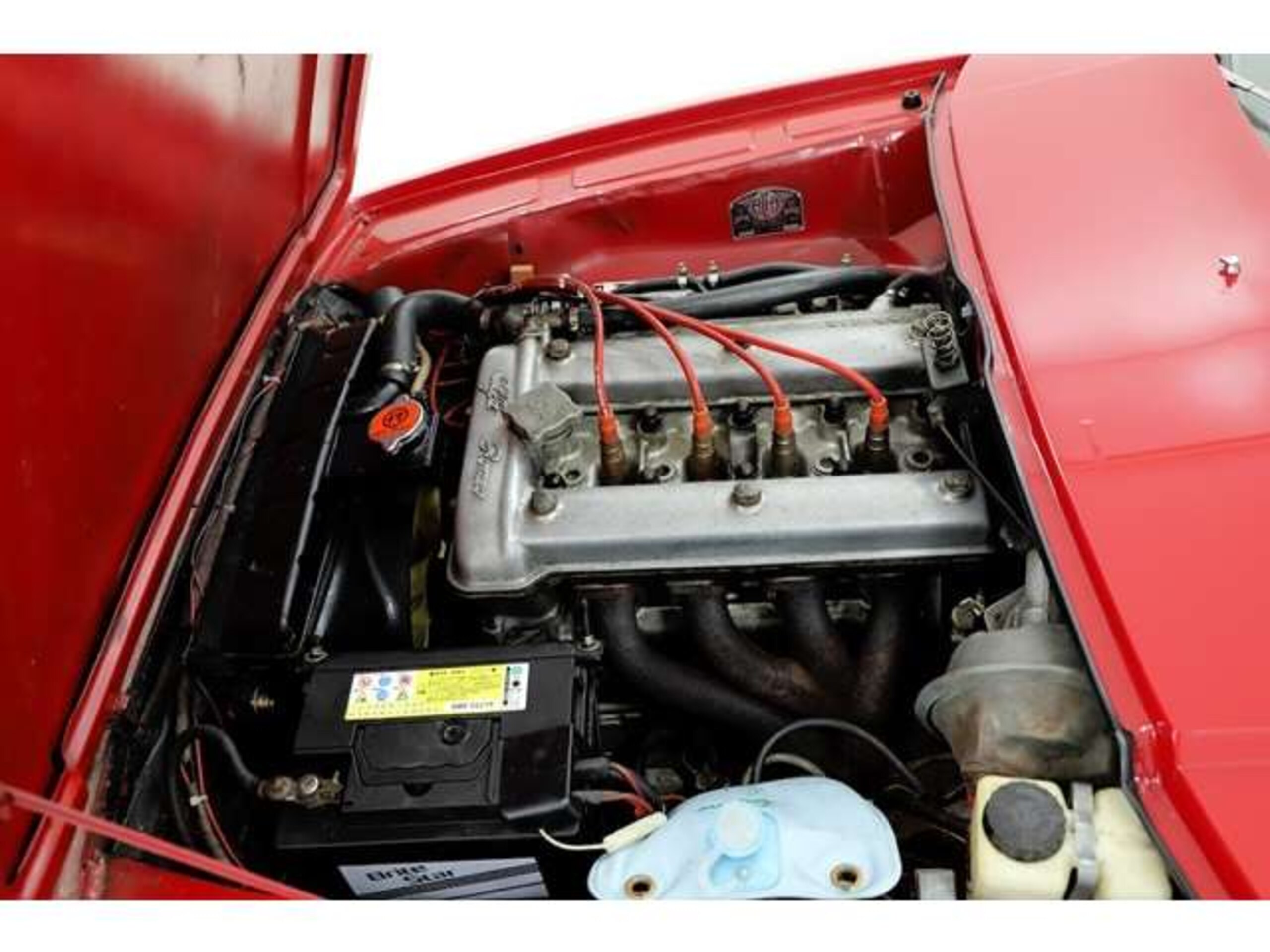 Alfa Romeo Junior Zagato (photo: 14)