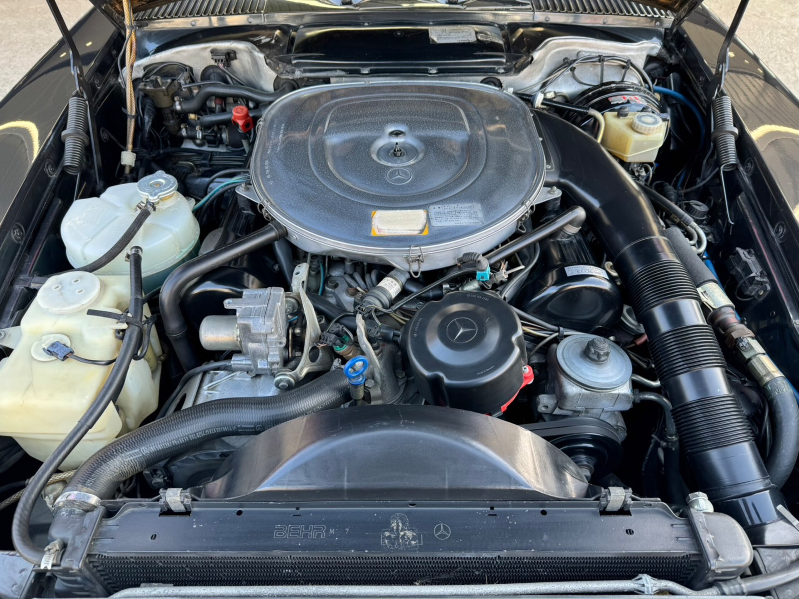 Mercedes Benz SL560 (photo: 13)