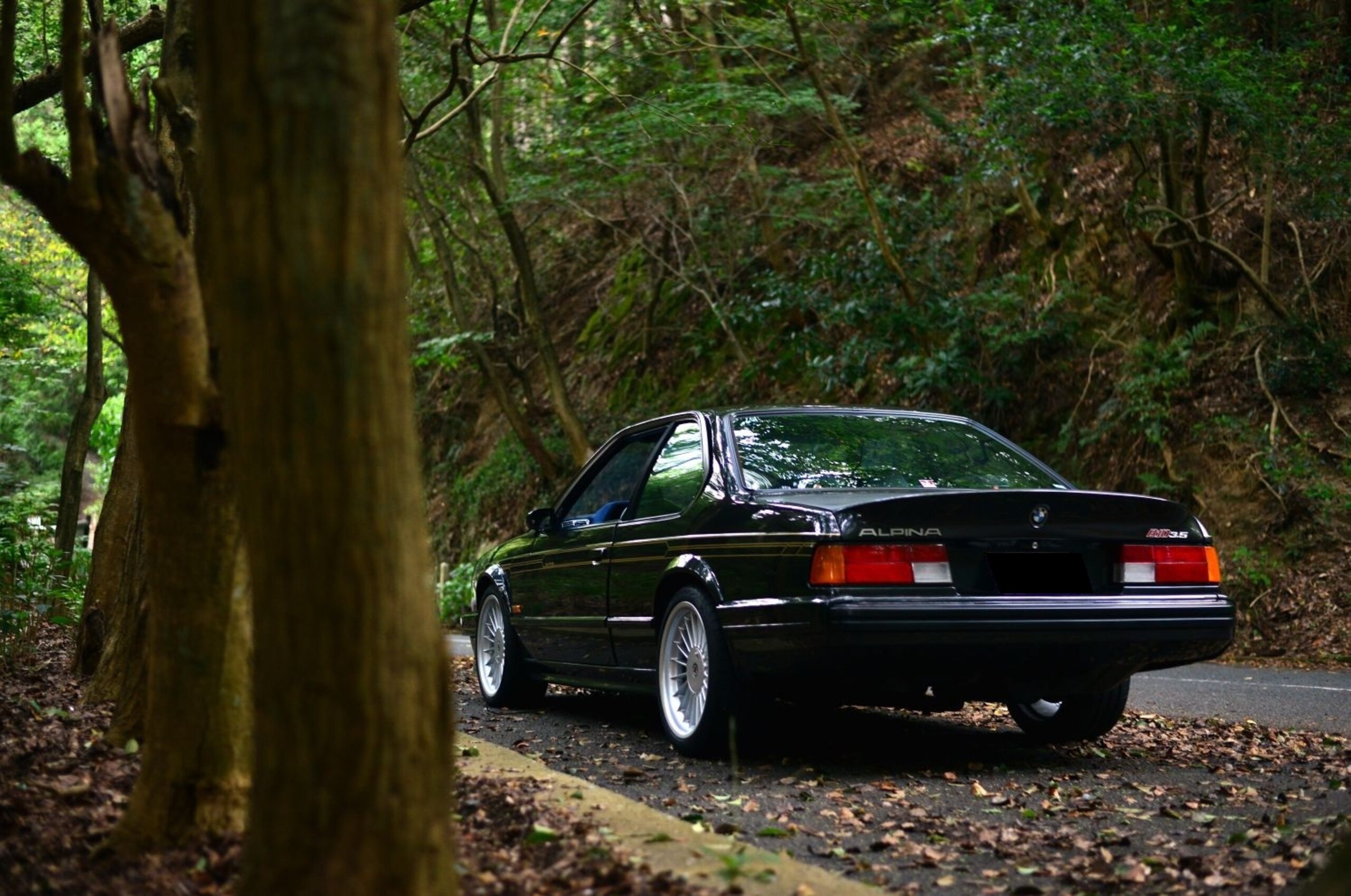 BMW Alpina B10 Coupe (photo: 5)