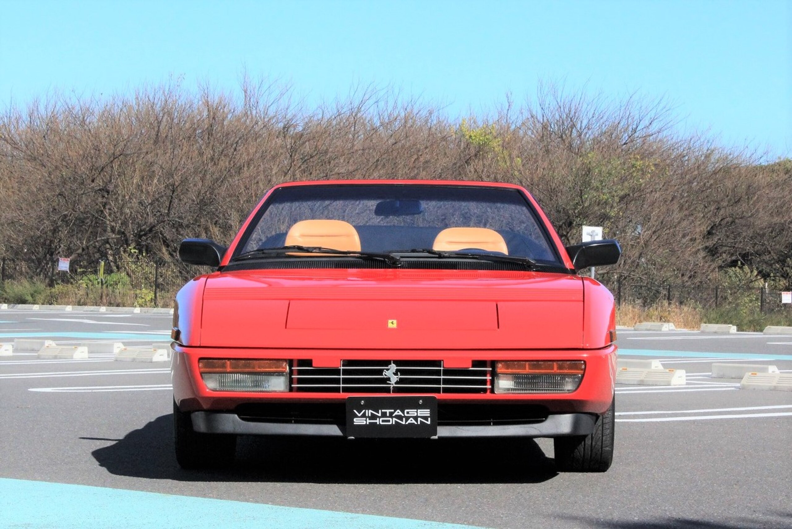 Ferrari Mondial t (photo: 1)