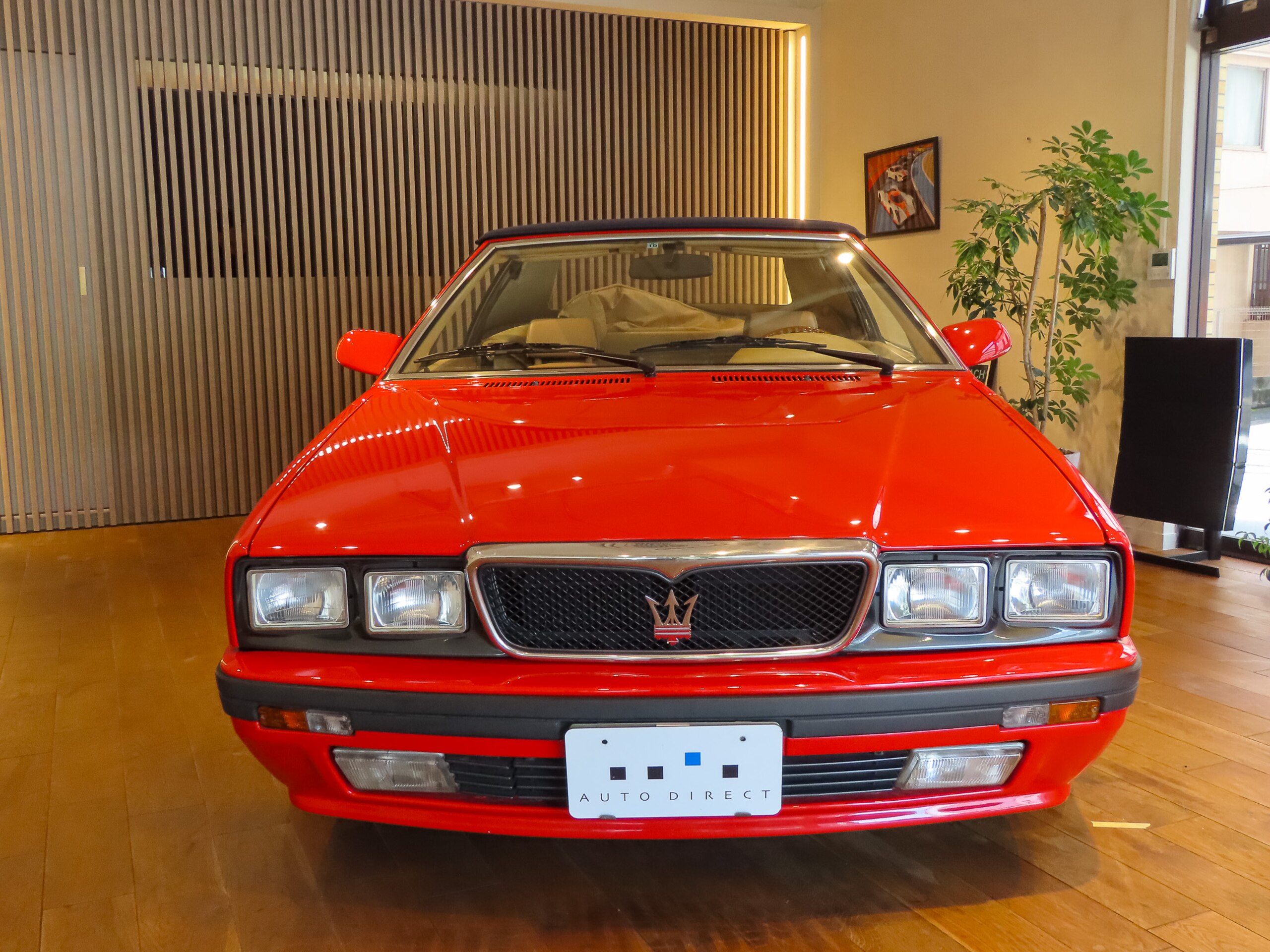 Maserati Spider Zagato (photo: 1)