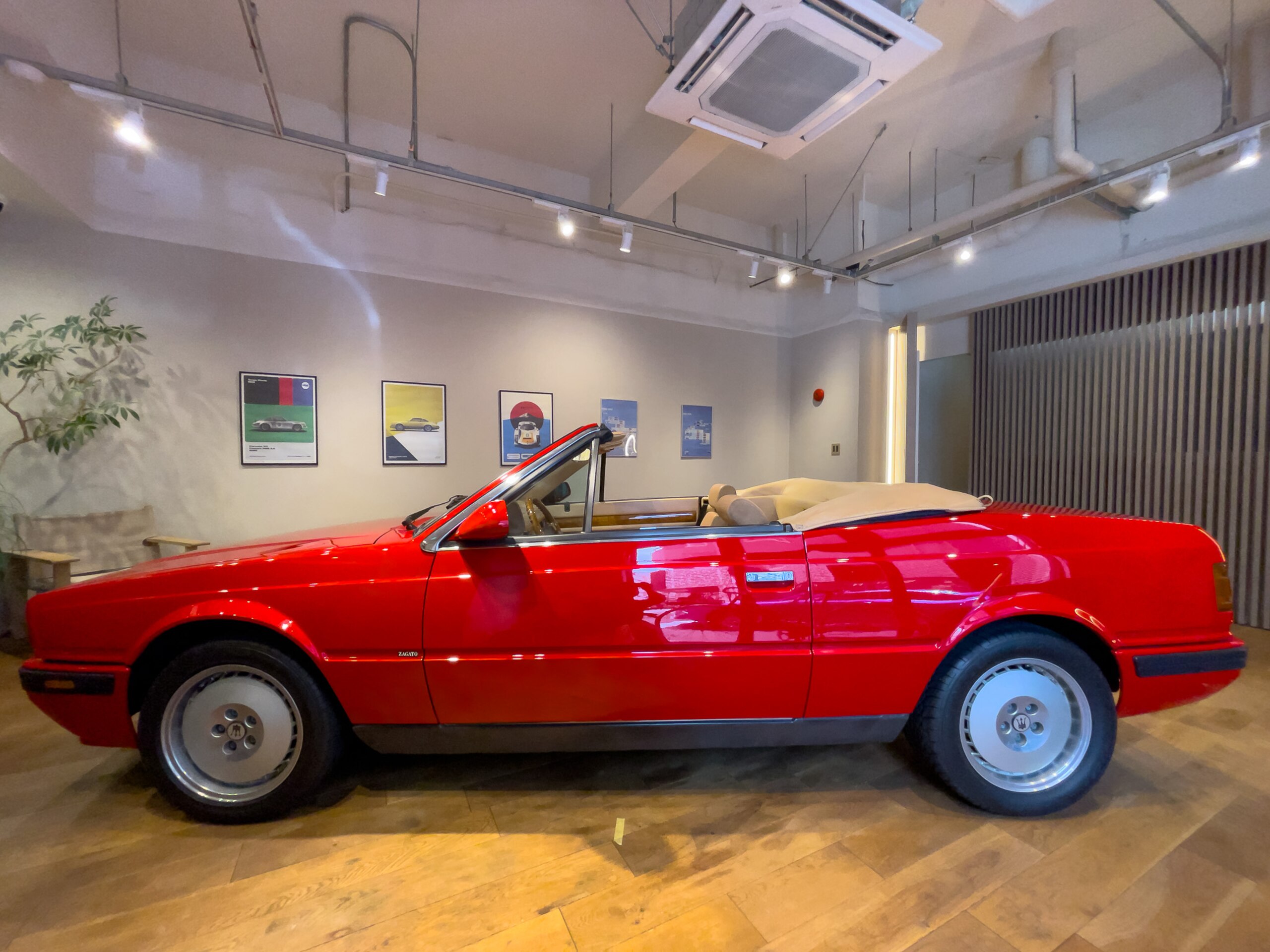 Maserati Spider Zagato (photo: 2)