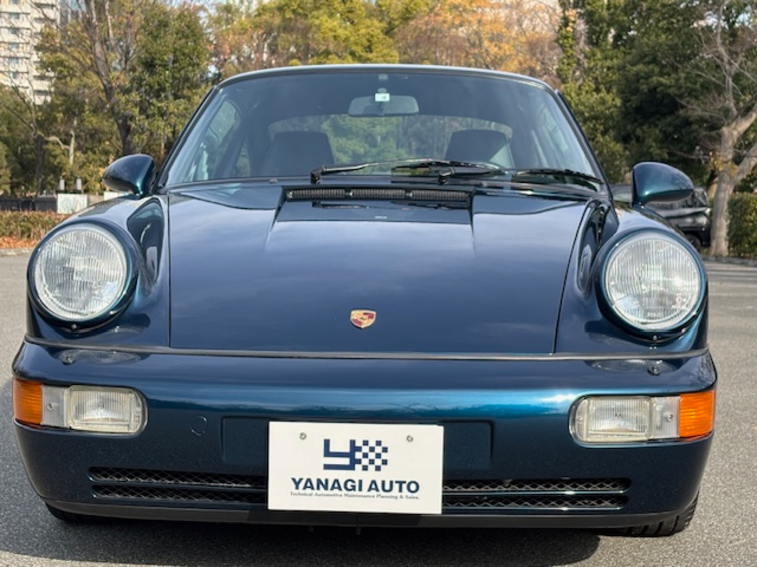 Porsche 911 Carrera 2 (photo: 1)