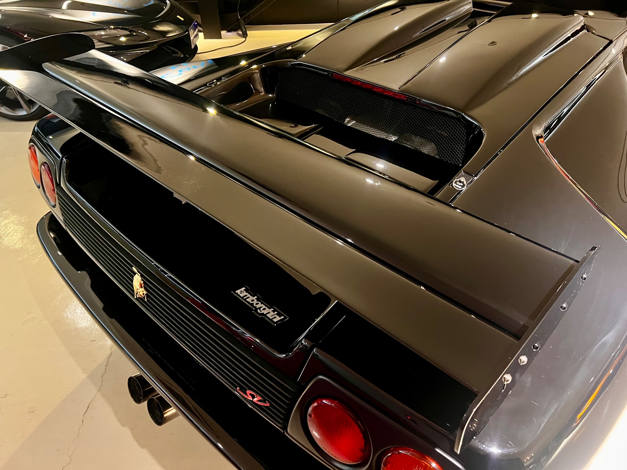 Lamborghini Diablo SV (photo: 16)