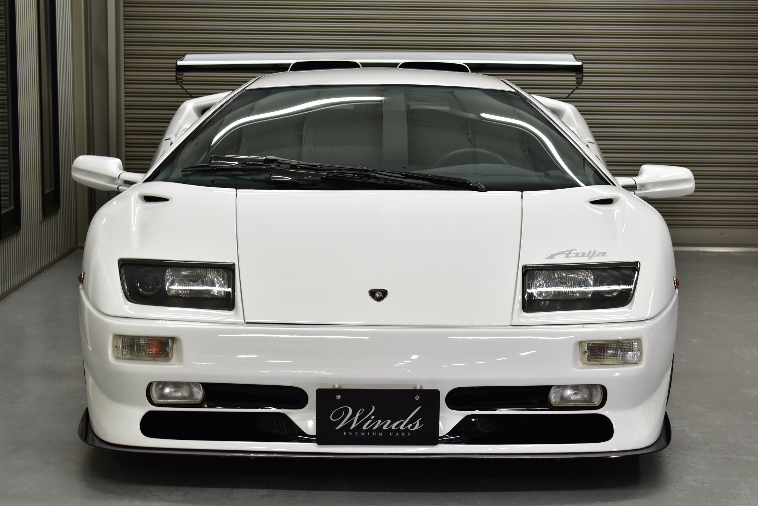 Lamborghini Diablo SV (photo: 1)