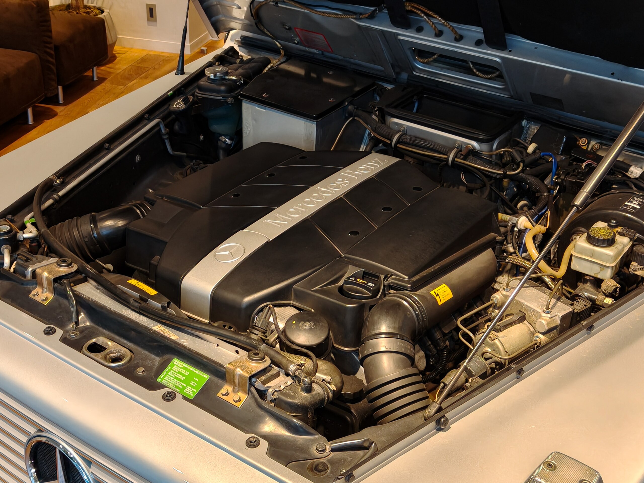 Mercedes Benz G320 (photo: 21)
