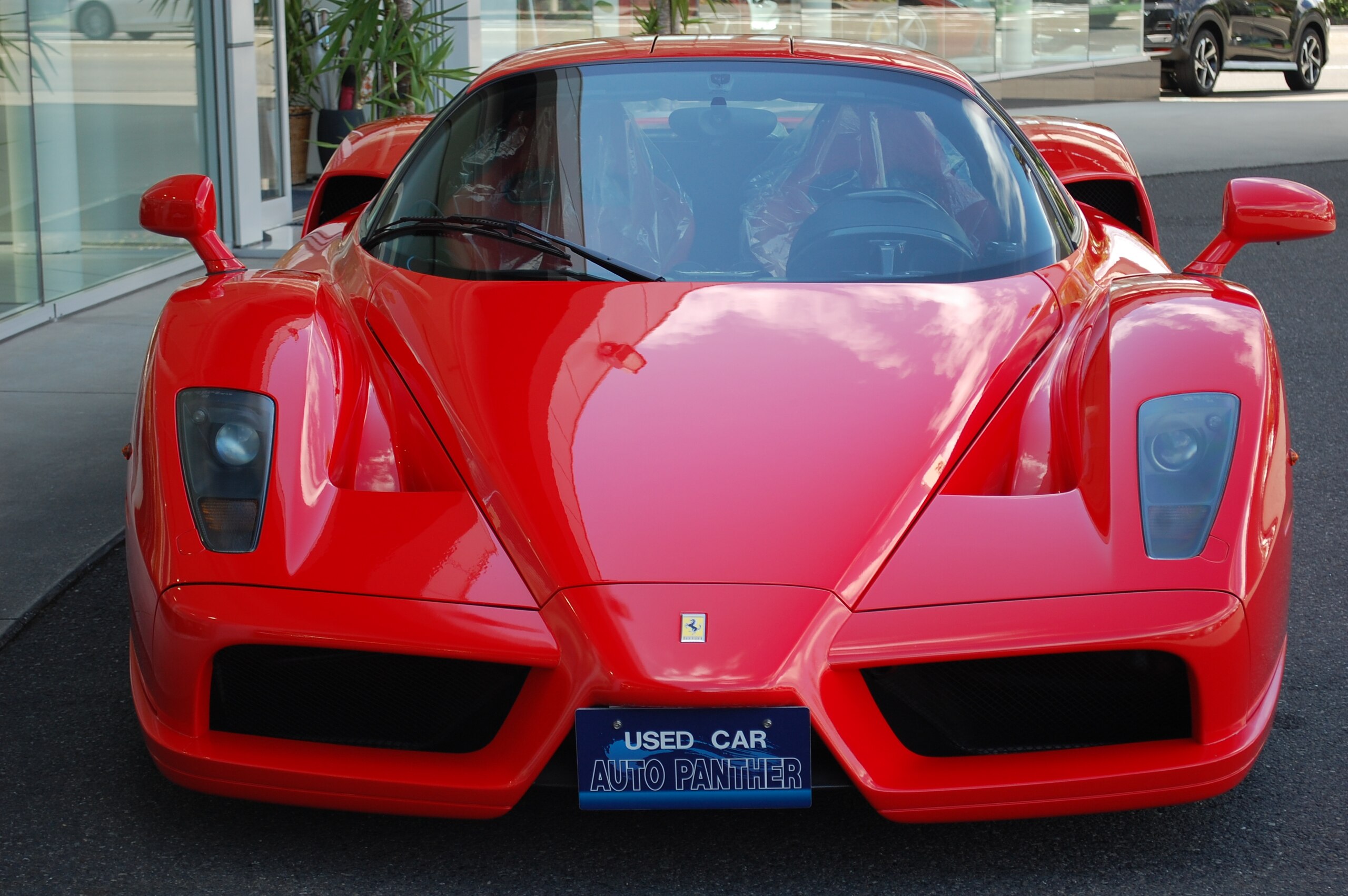 Ferrari Enzo (photo: 1)