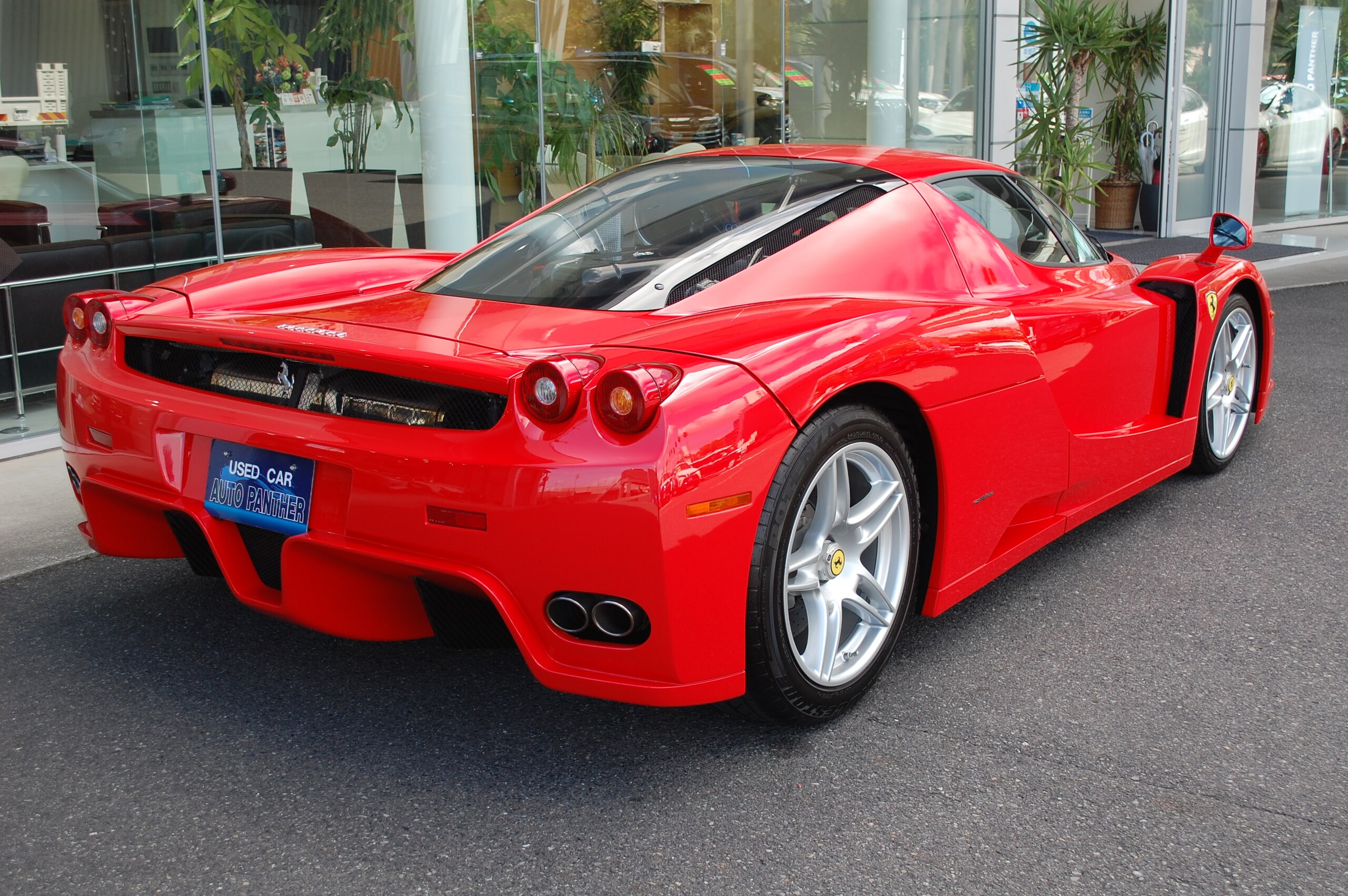 Ferrari Enzo (photo: 7)