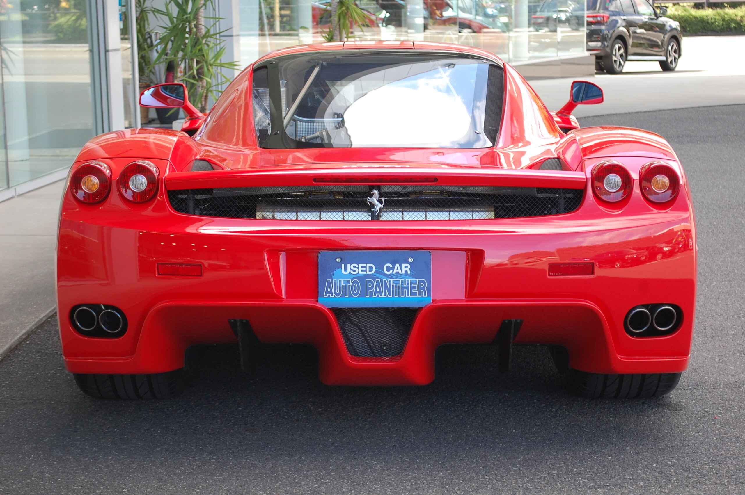 Ferrari Enzo (photo: 5)