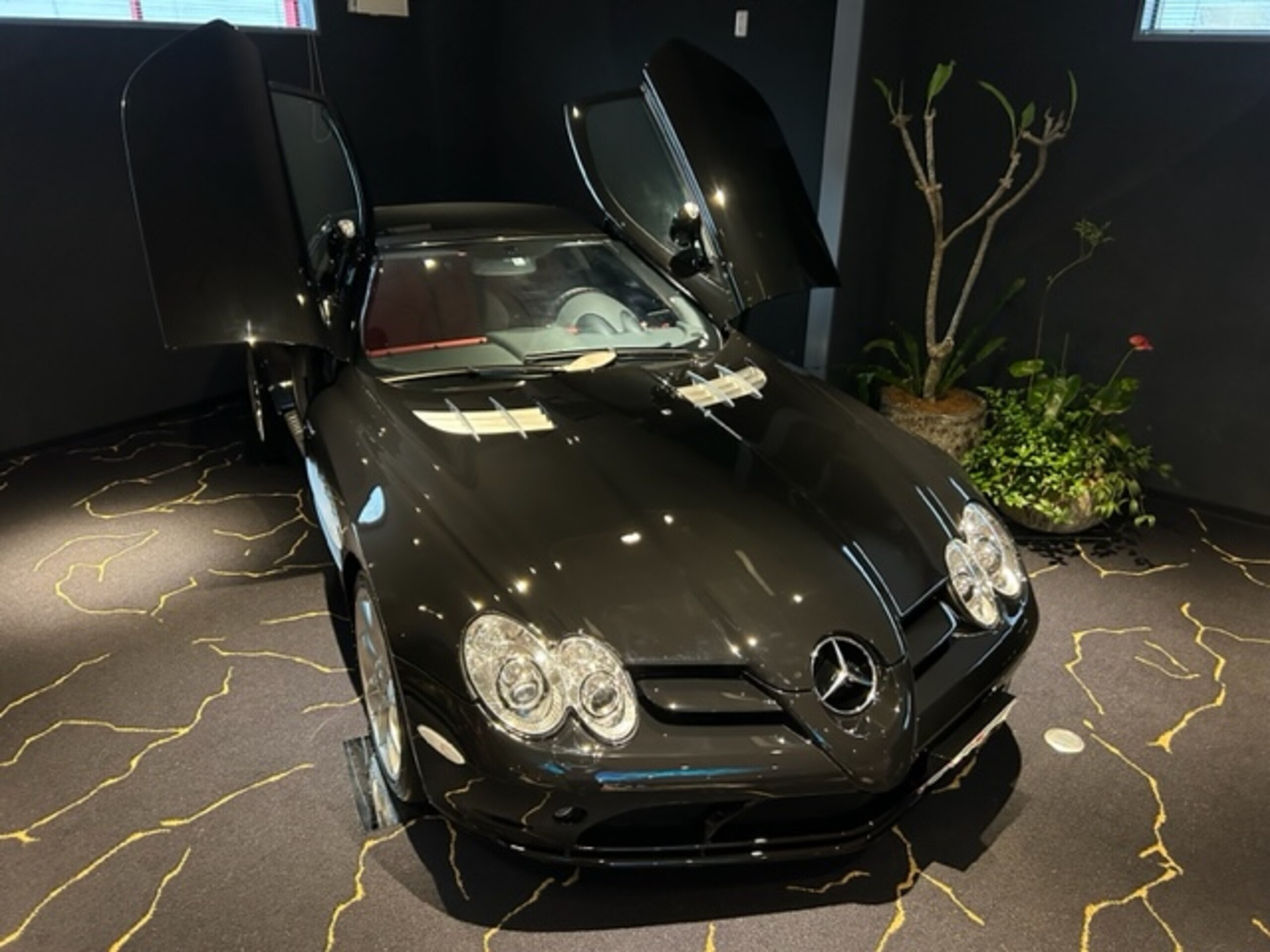 Mercedes Benz SLR McLaren (photo: 8)