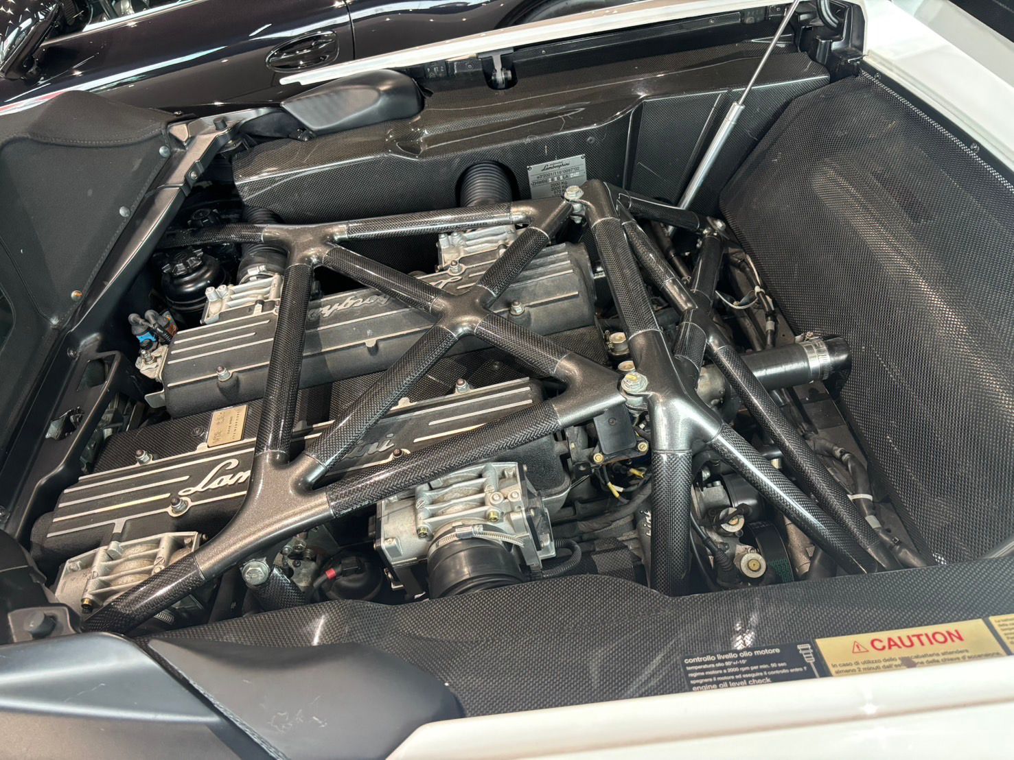 Lamborghini Murcielago Roadster (photo: 13)