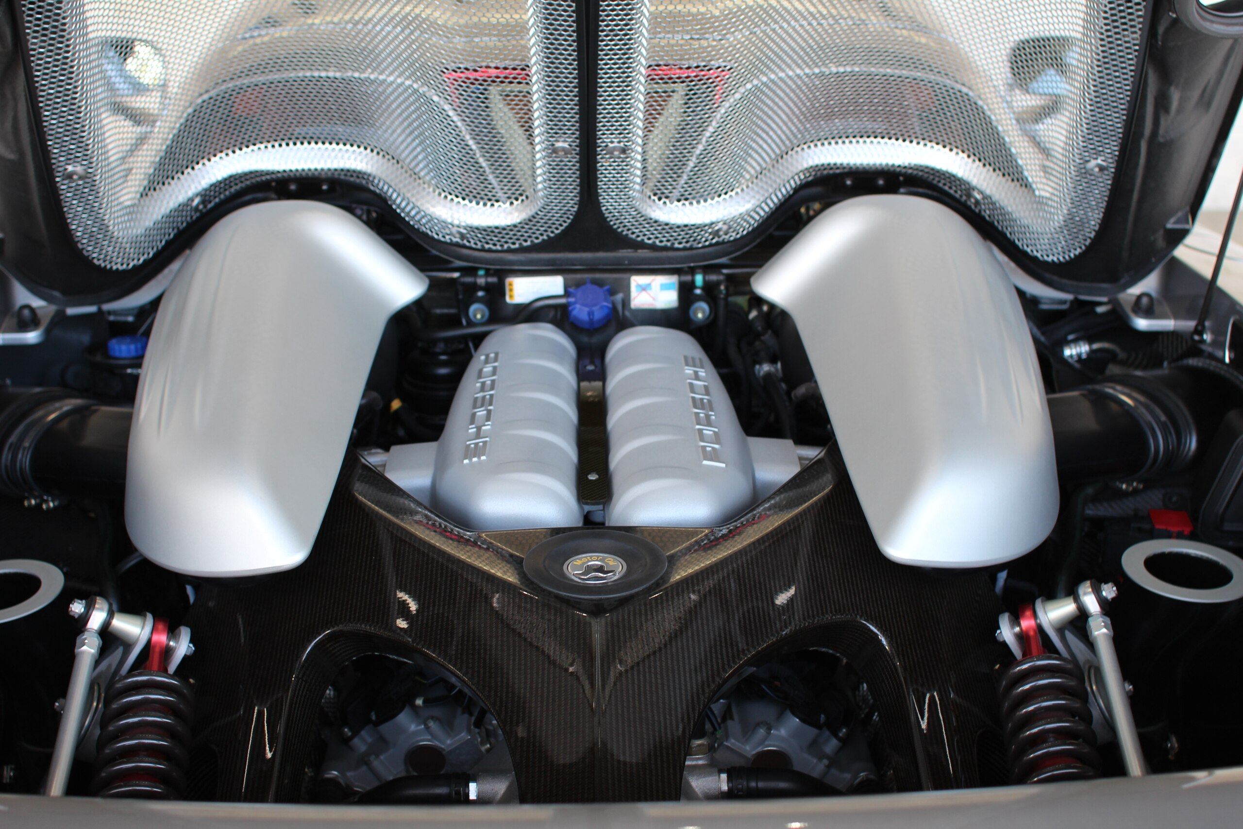 Porsche Carrera GT (photo: 13)