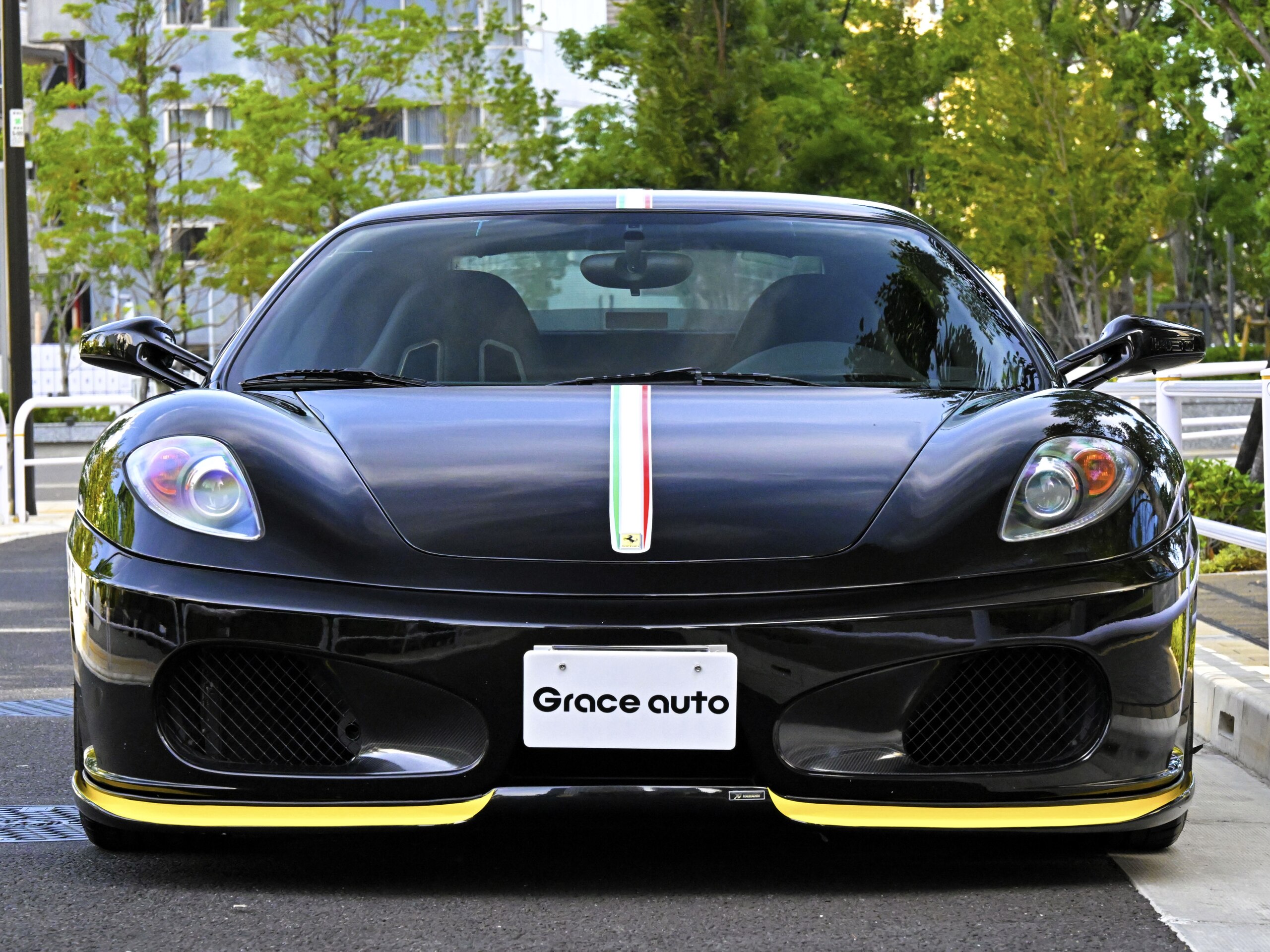 Ferrari F430 (photo: 1)