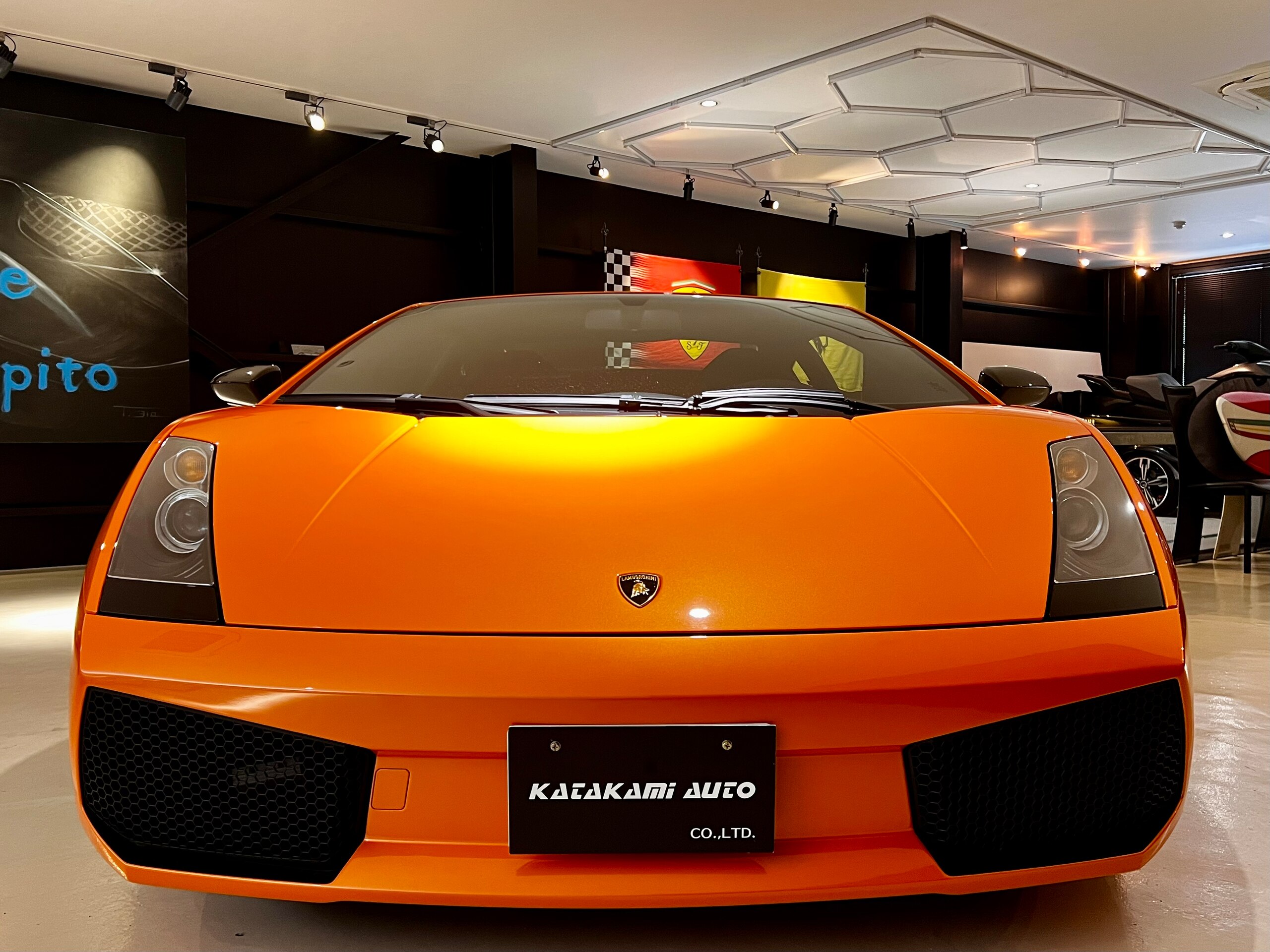 Lamborghini Gallardo (photo: 1)