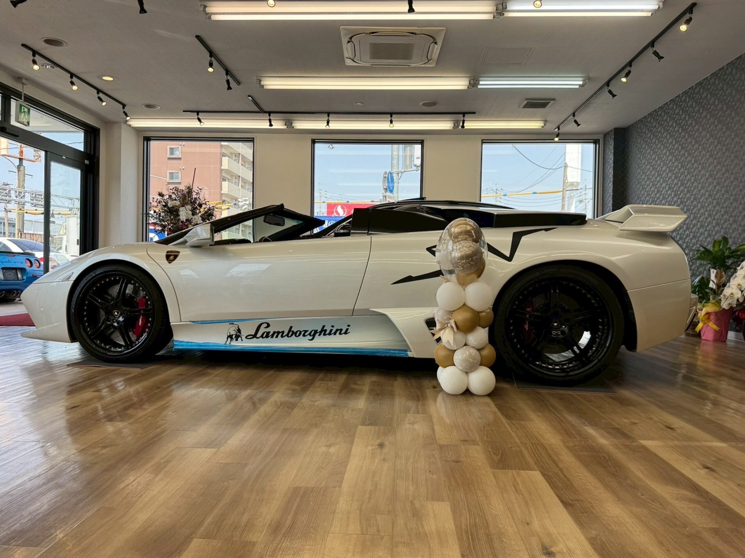 Lamborghini Murcielago Roadster (photo: 2)