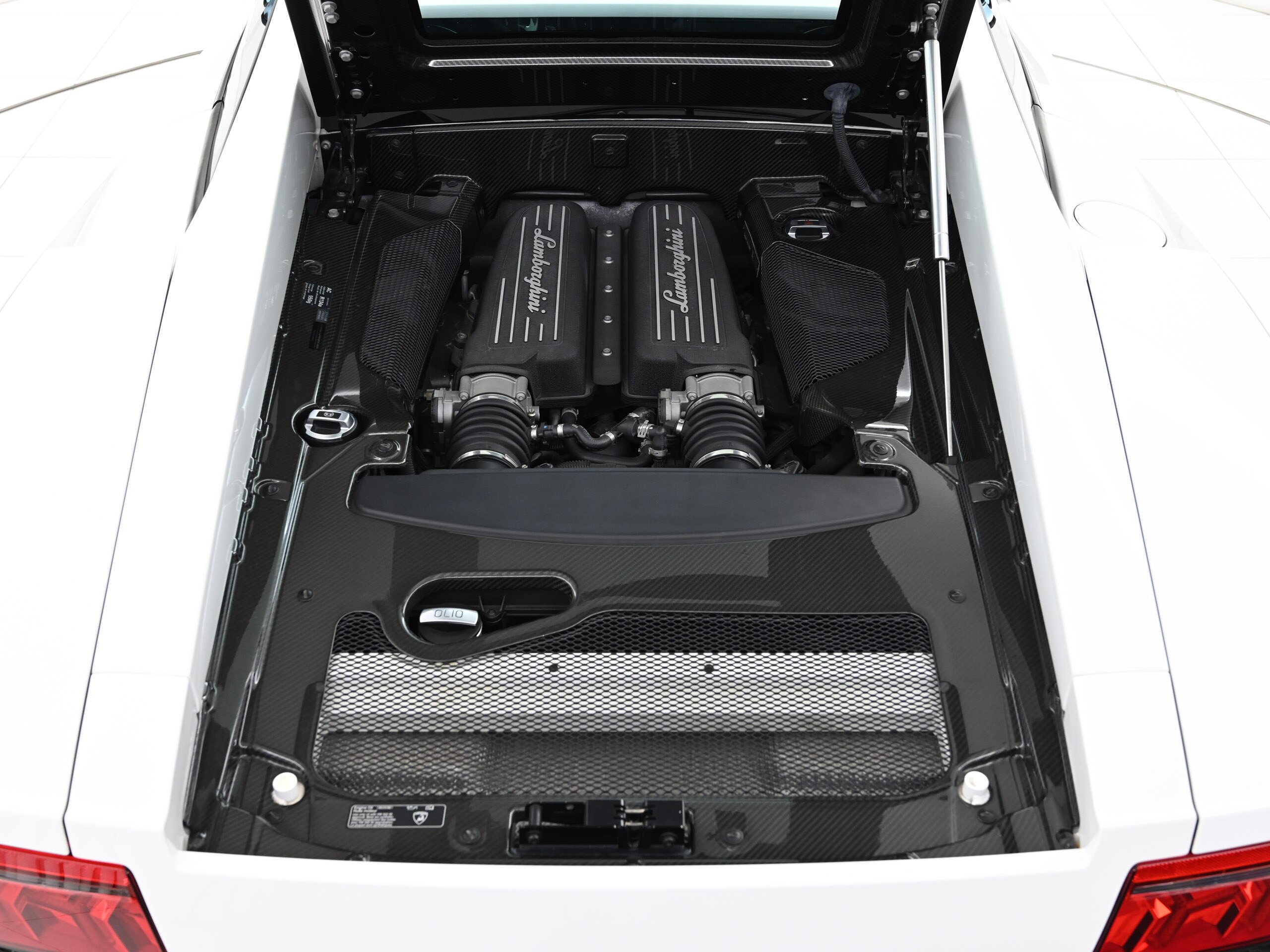 Lamborghini Gallardo LP570-4 Superleggera (photo: 23)