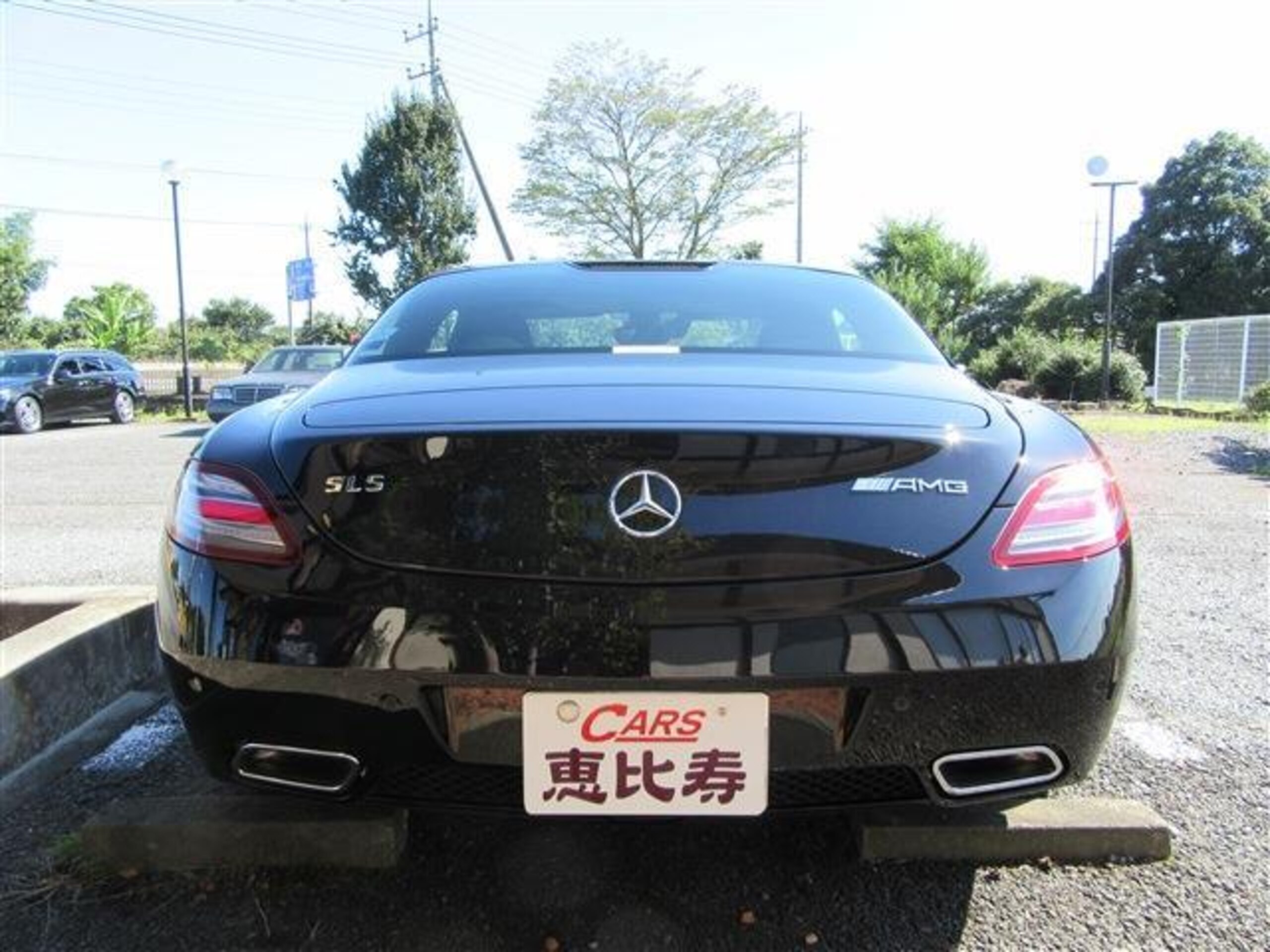 Mercedes Benz SLS AMG (photo: 5)