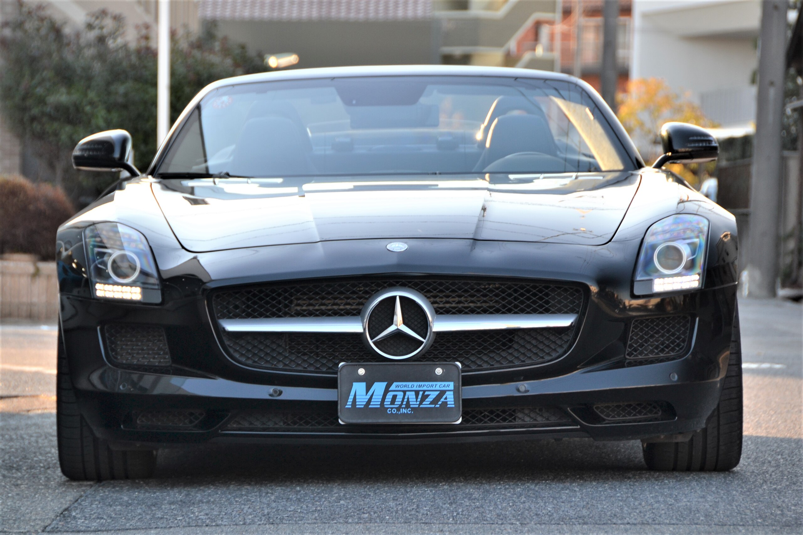 Mercedes Benz SLS AMG Roadster (photo: 1)