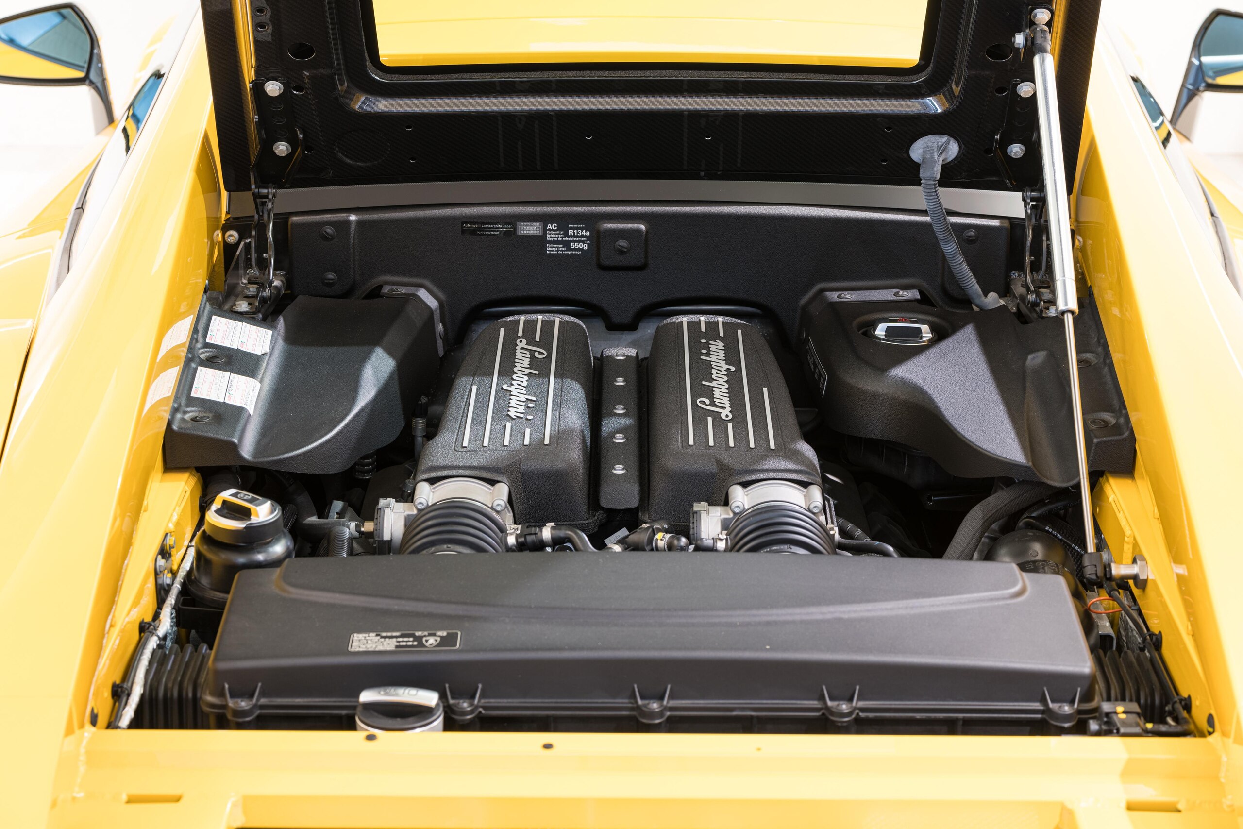 Lamborghini Gallardo LP570-4 Superleggera (photo: 18)