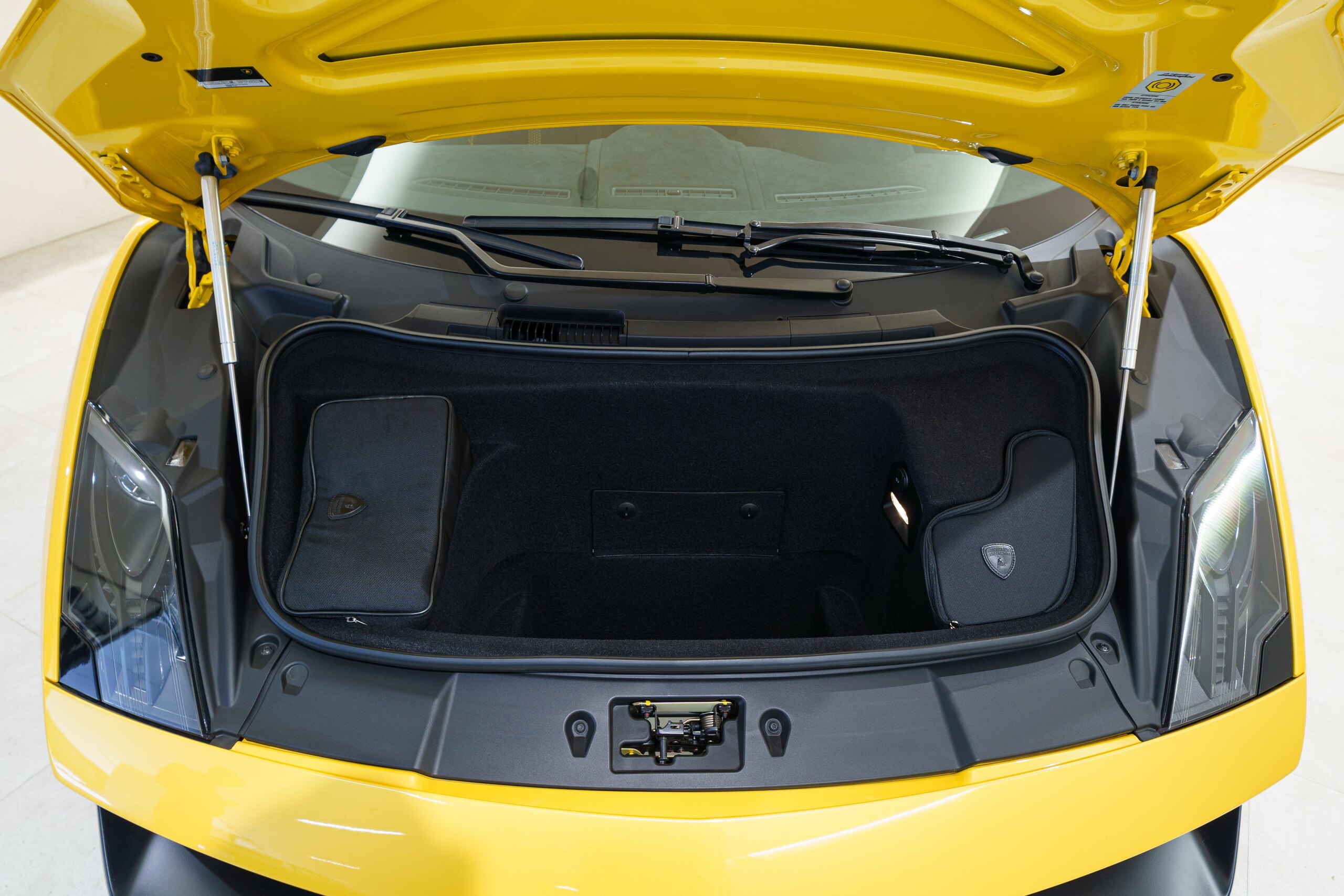 Lamborghini Gallardo LP570-4 Superleggera (photo: 19)