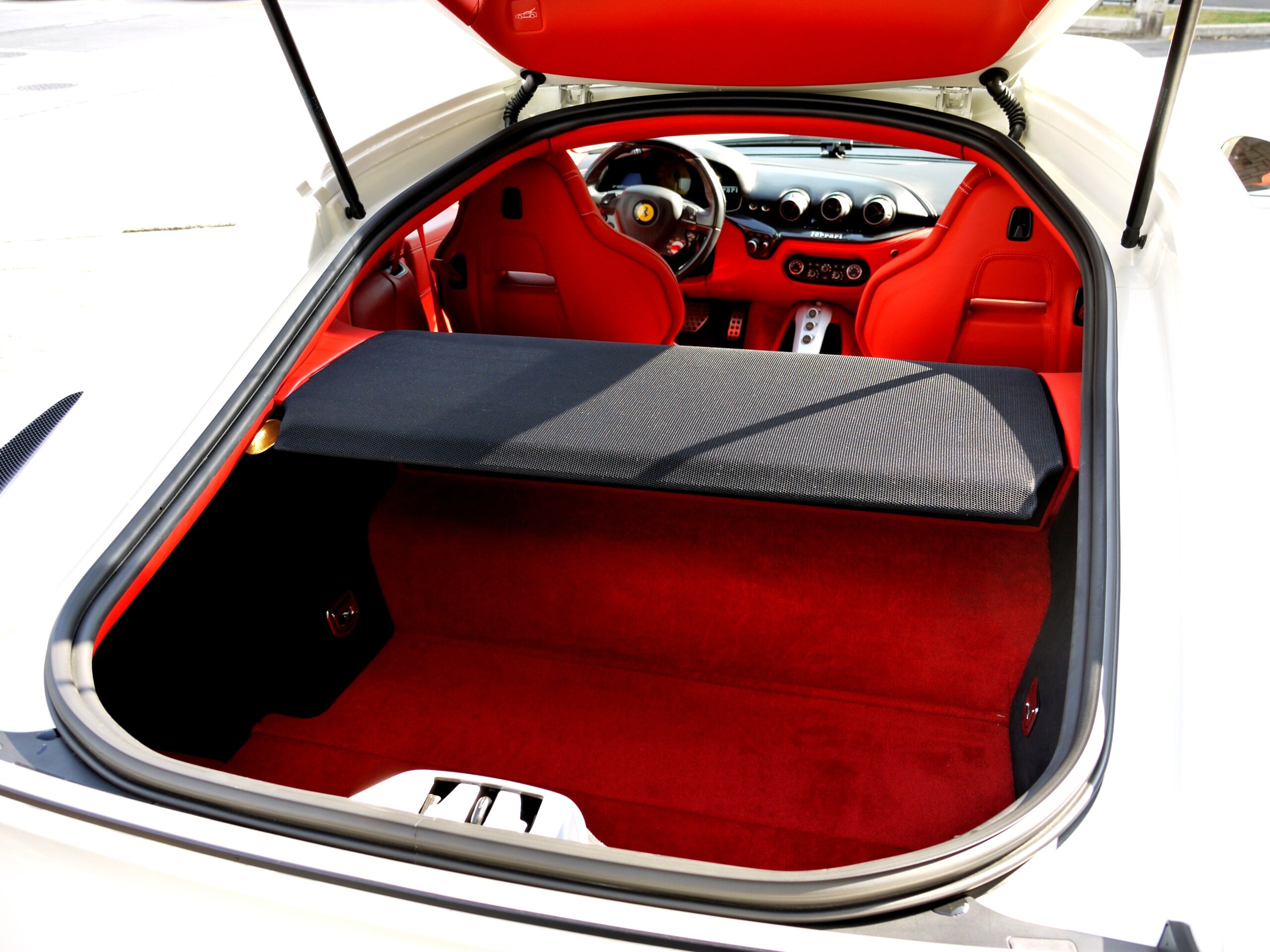 Ferrari F12 Berlinetta (photo: 11)