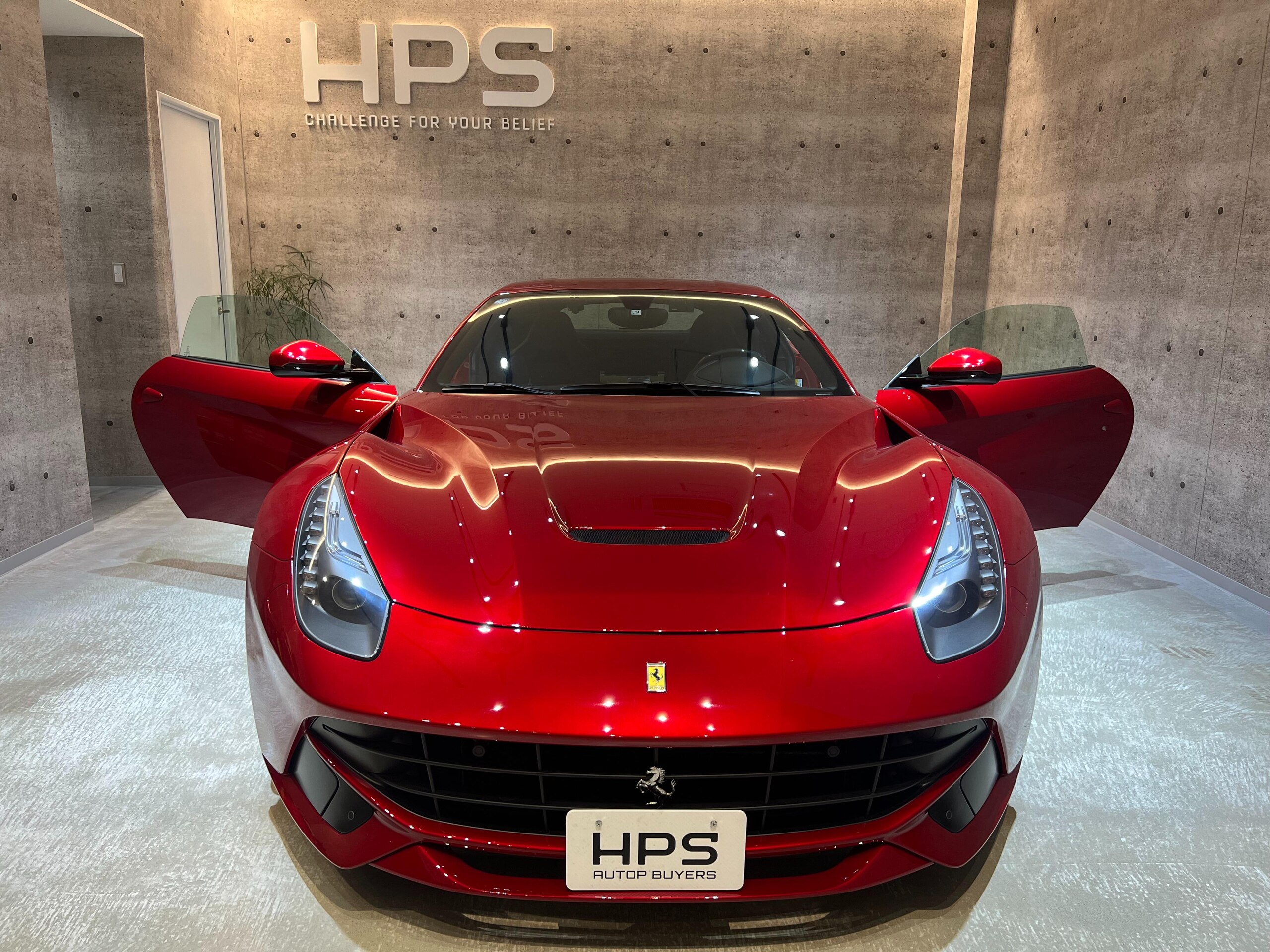 Ferrari F12 Berlinetta (photo: 2)