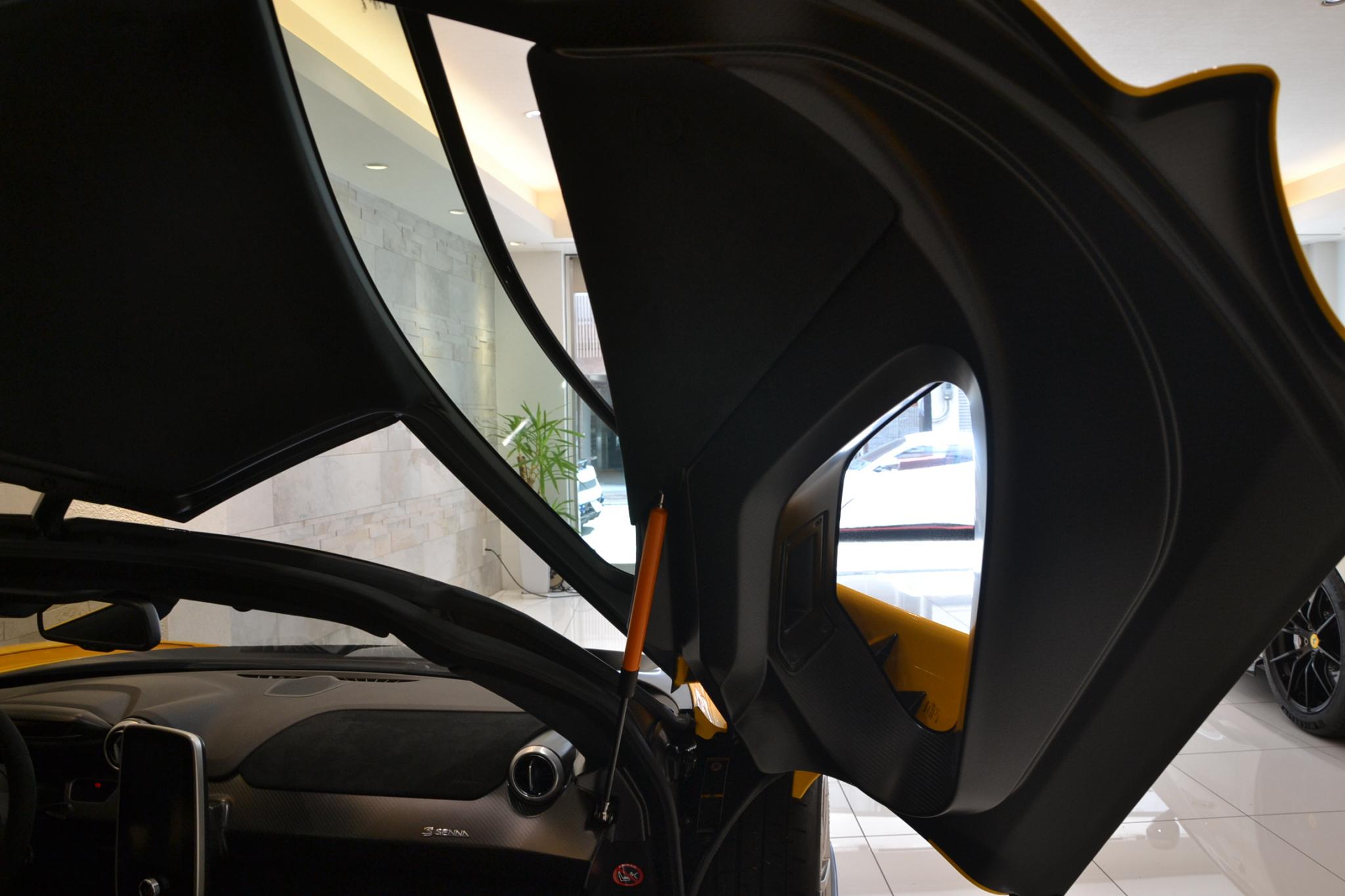 McLaren Senna (photo: 31)