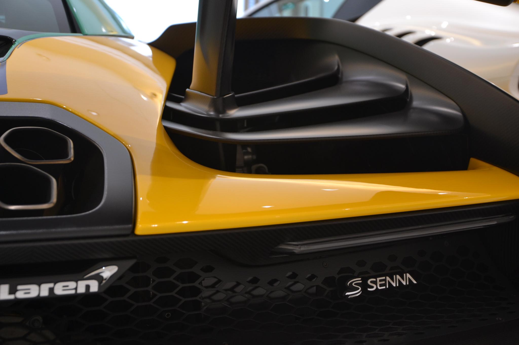 McLaren Senna (photo: 17)