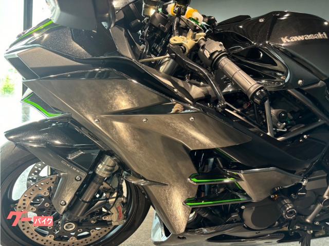 Kawasaki Ninja H2 (photo: 9)