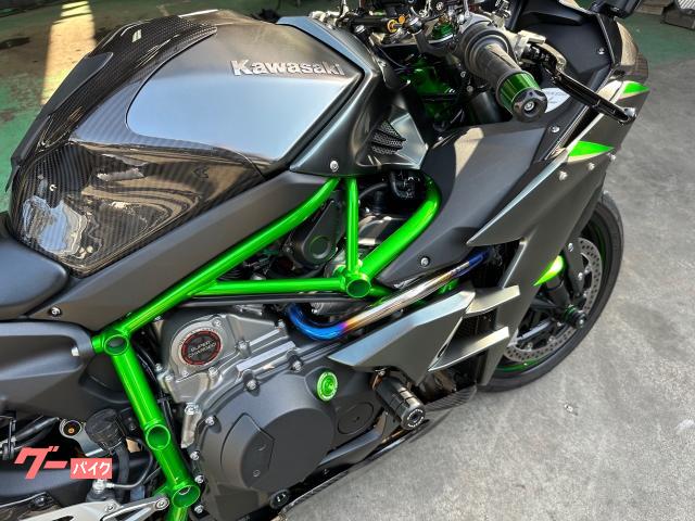 Kawasaki Ninja H2 Carbon (photo: 5)