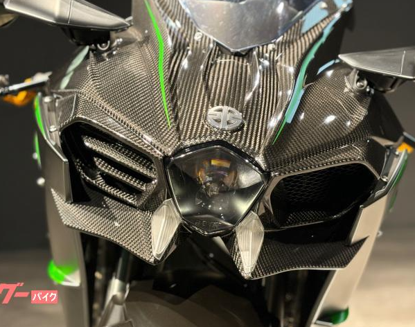 Kawasaki Ninja H2 Carbon (photo: 3)