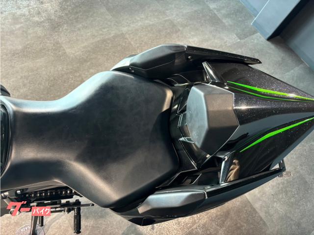 Kawasaki Ninja H2 (photo: 8)