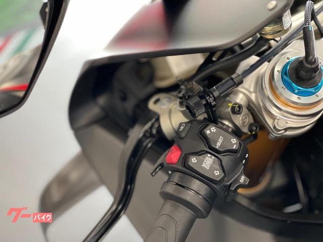 Other DUCATI Panigale V4 (photo: 11)
