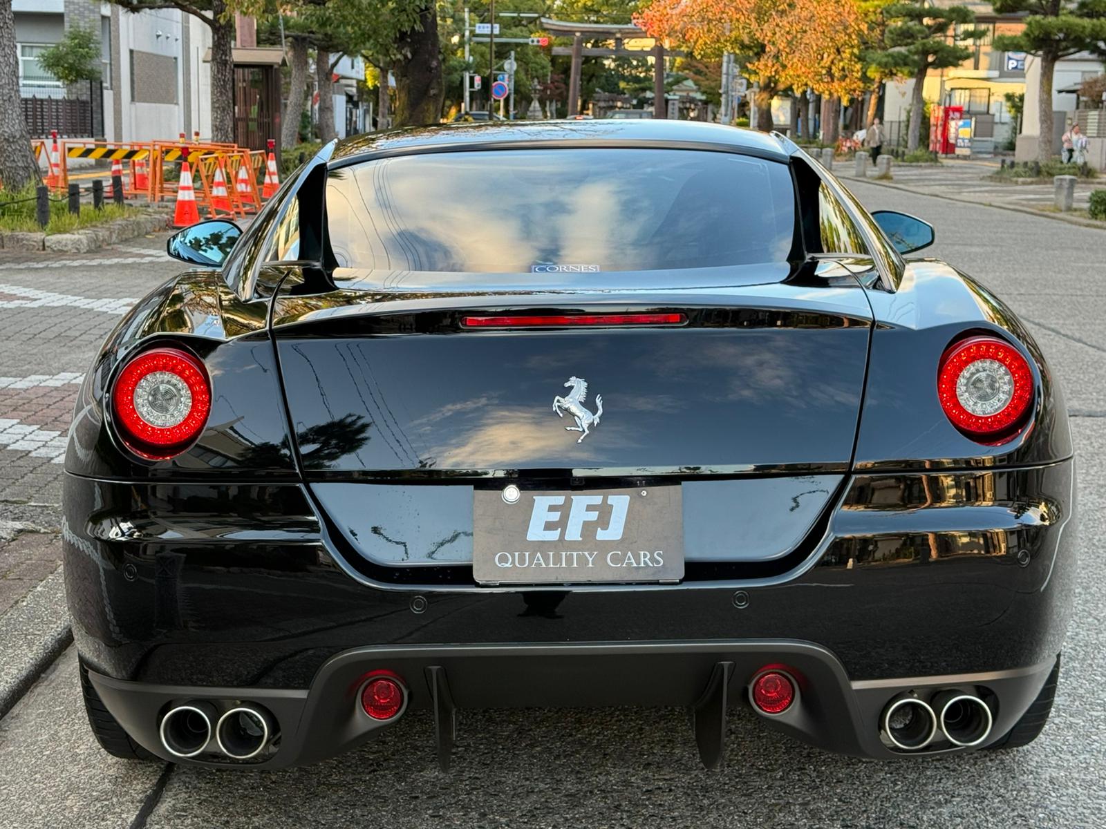 Ferrari 599 GTB Fiorano (photo: 6)