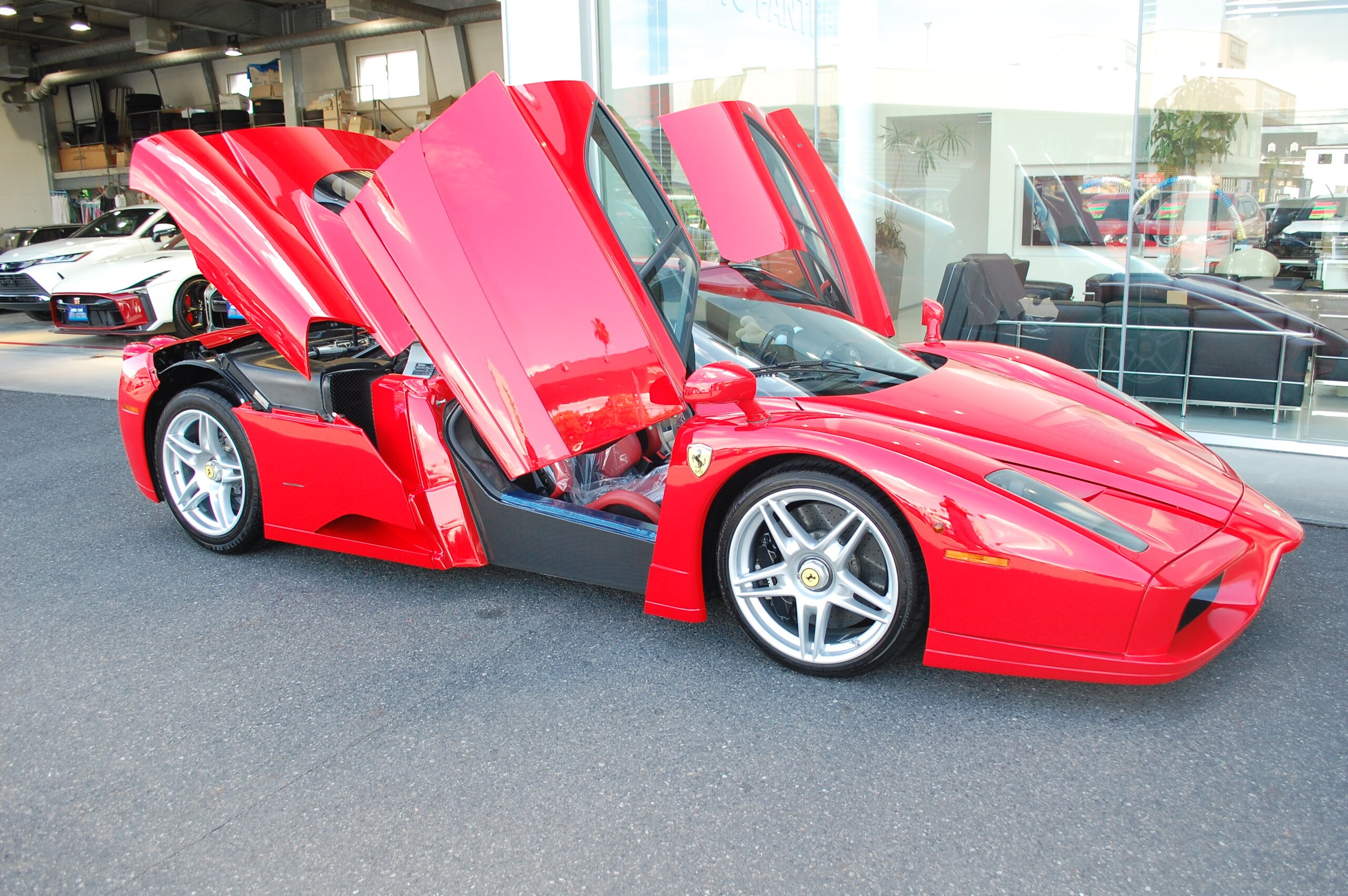 Ferrari Enzo (photo: 4)