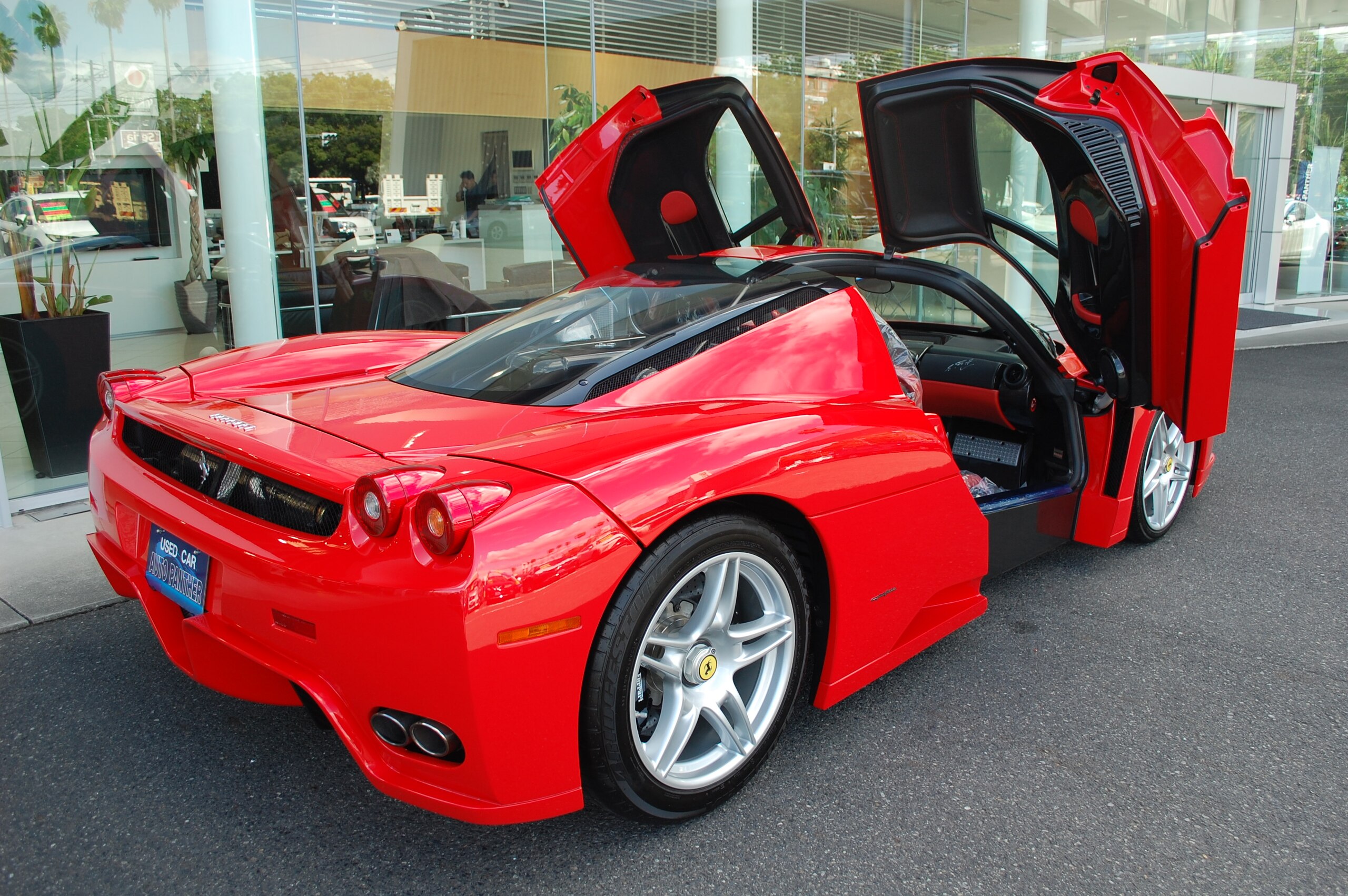 Ferrari Enzo (photo: 8)