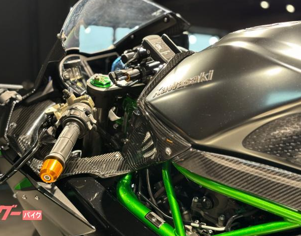 Kawasaki Ninja H2 Carbon (photo: 14)