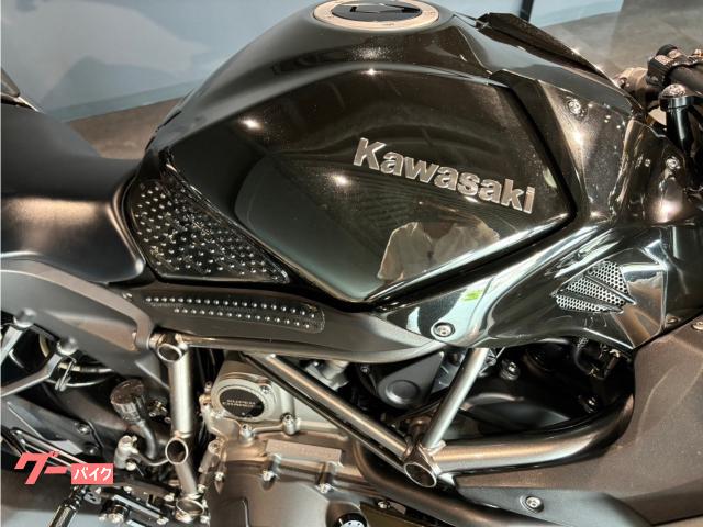 Kawasaki Ninja H2 (photo: 7)