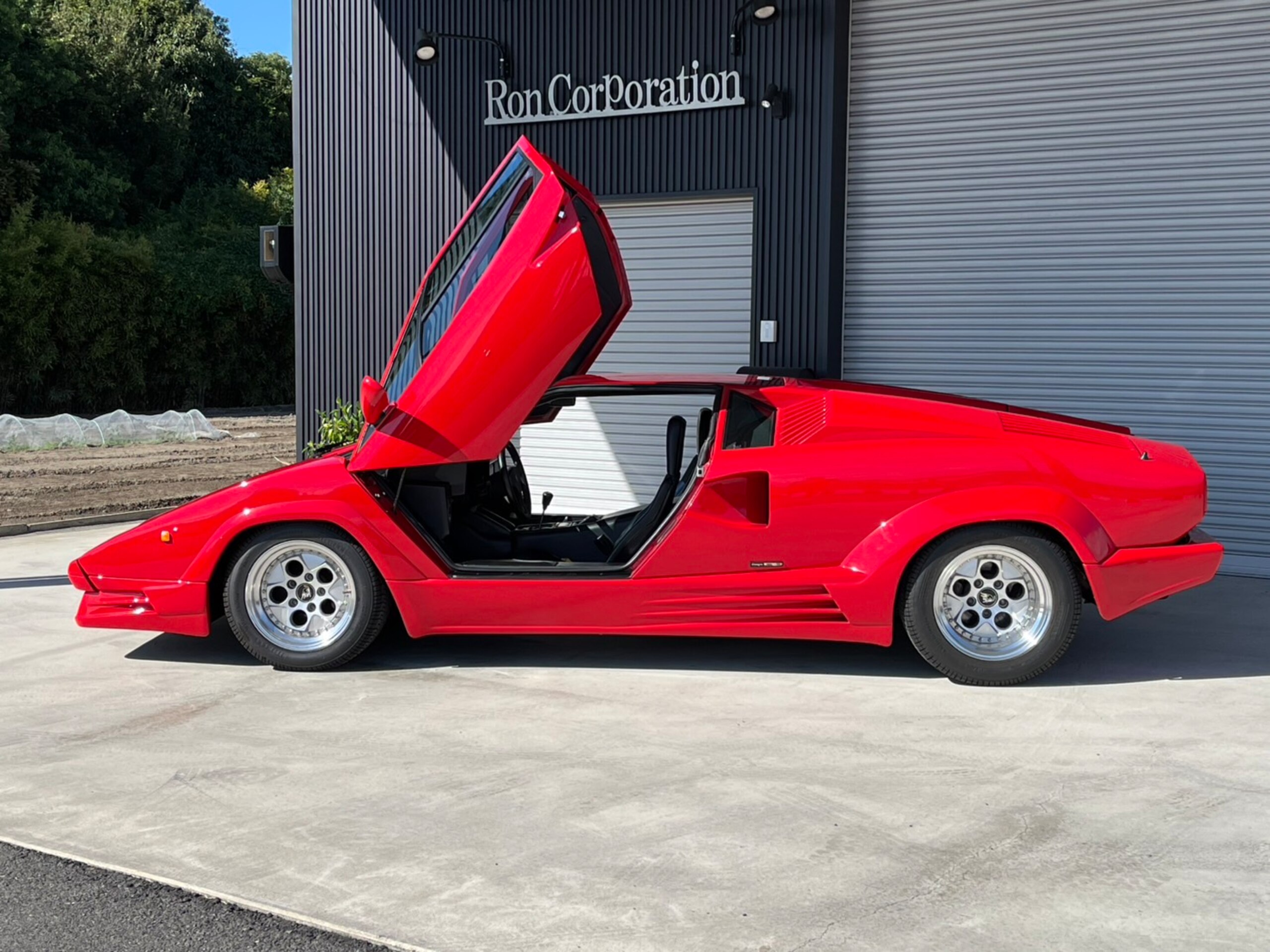 Lamborghini Countach Anniversary Edition (photo: 2)