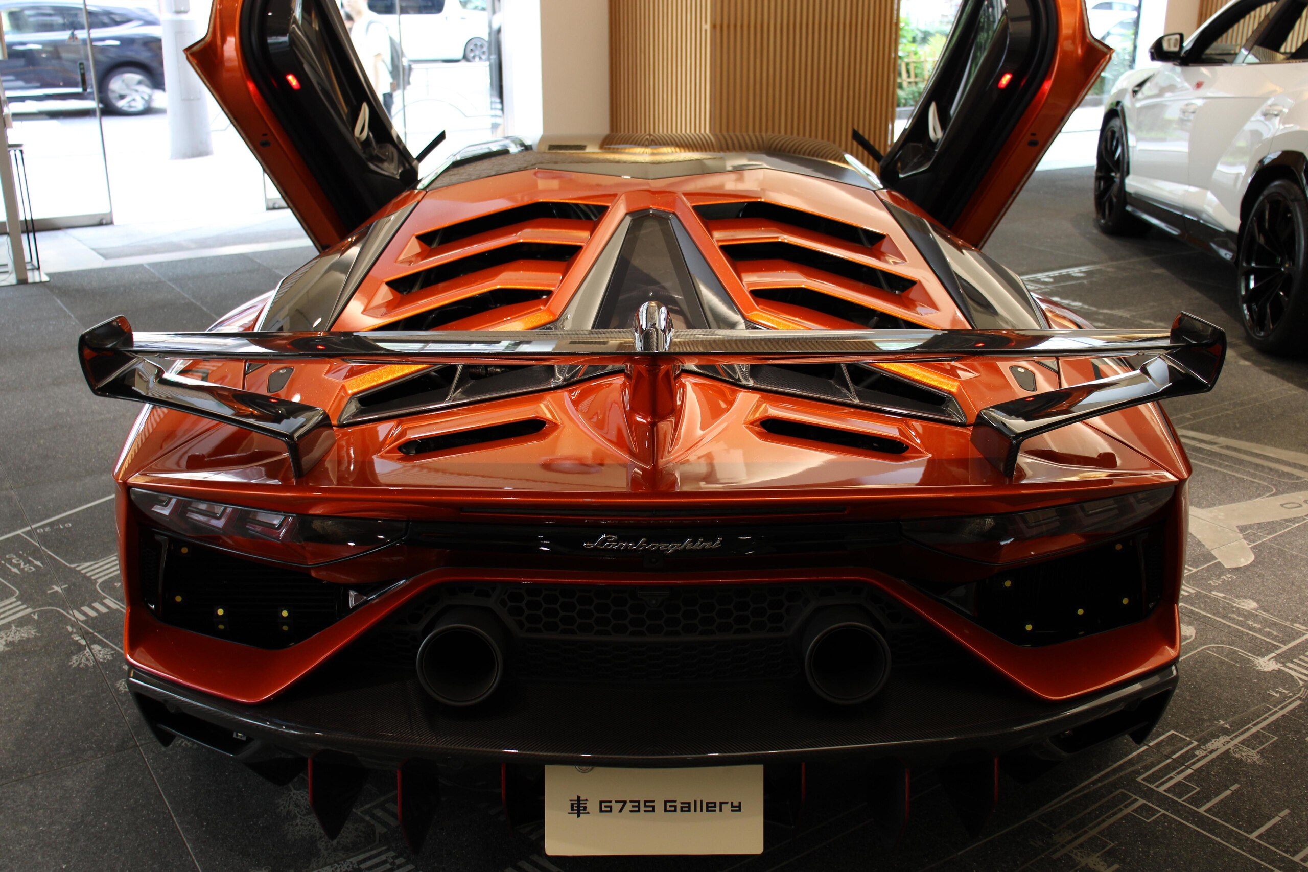Lamborghini Aventador SVJ (photo: 3)