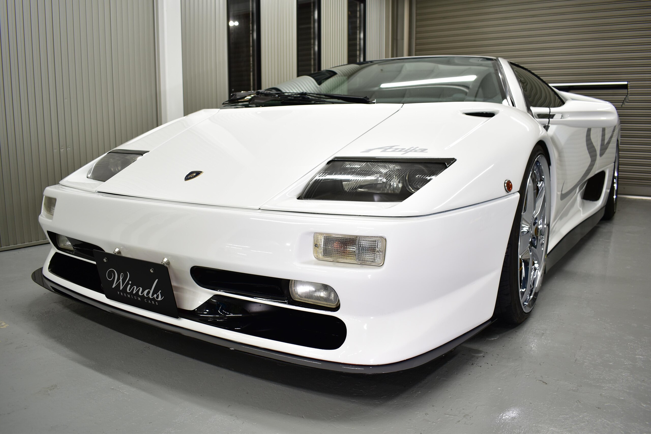 Lamborghini Diablo SV (photo: 3)