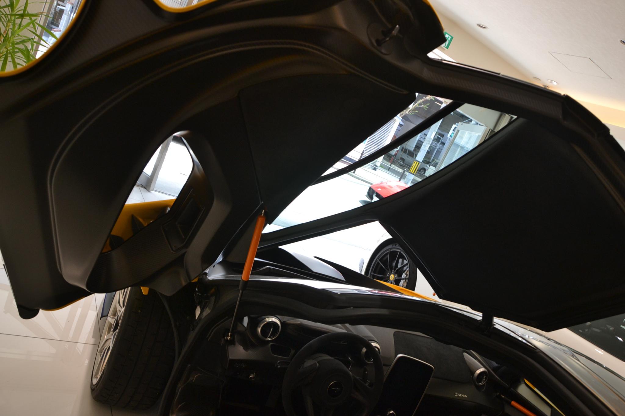 McLaren Senna (photo: 18)
