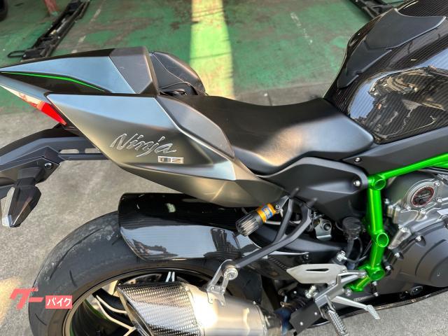 Kawasaki Ninja H2 Carbon (photo: 6)