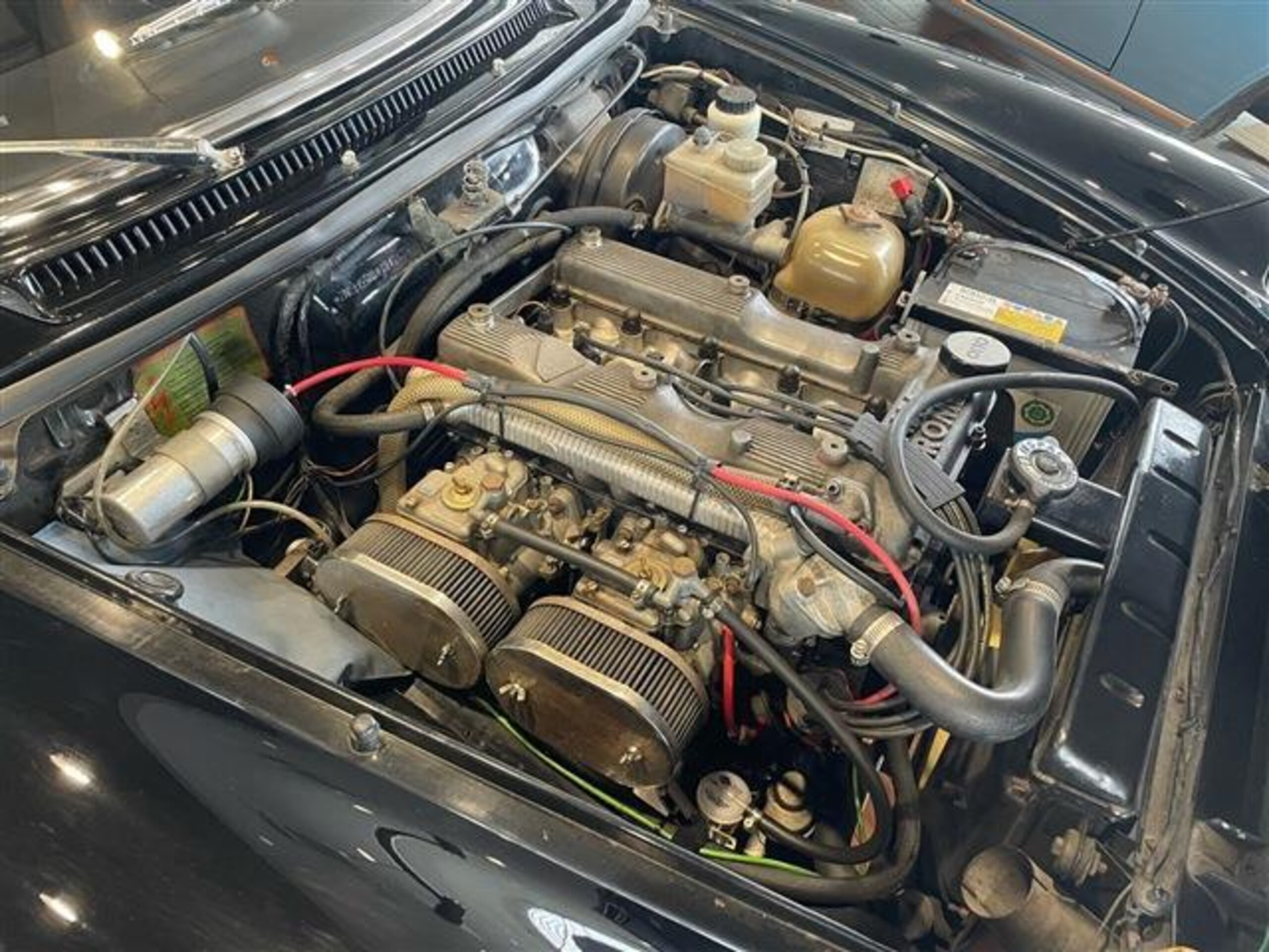 Alfa Romeo Spider (photo: 11)