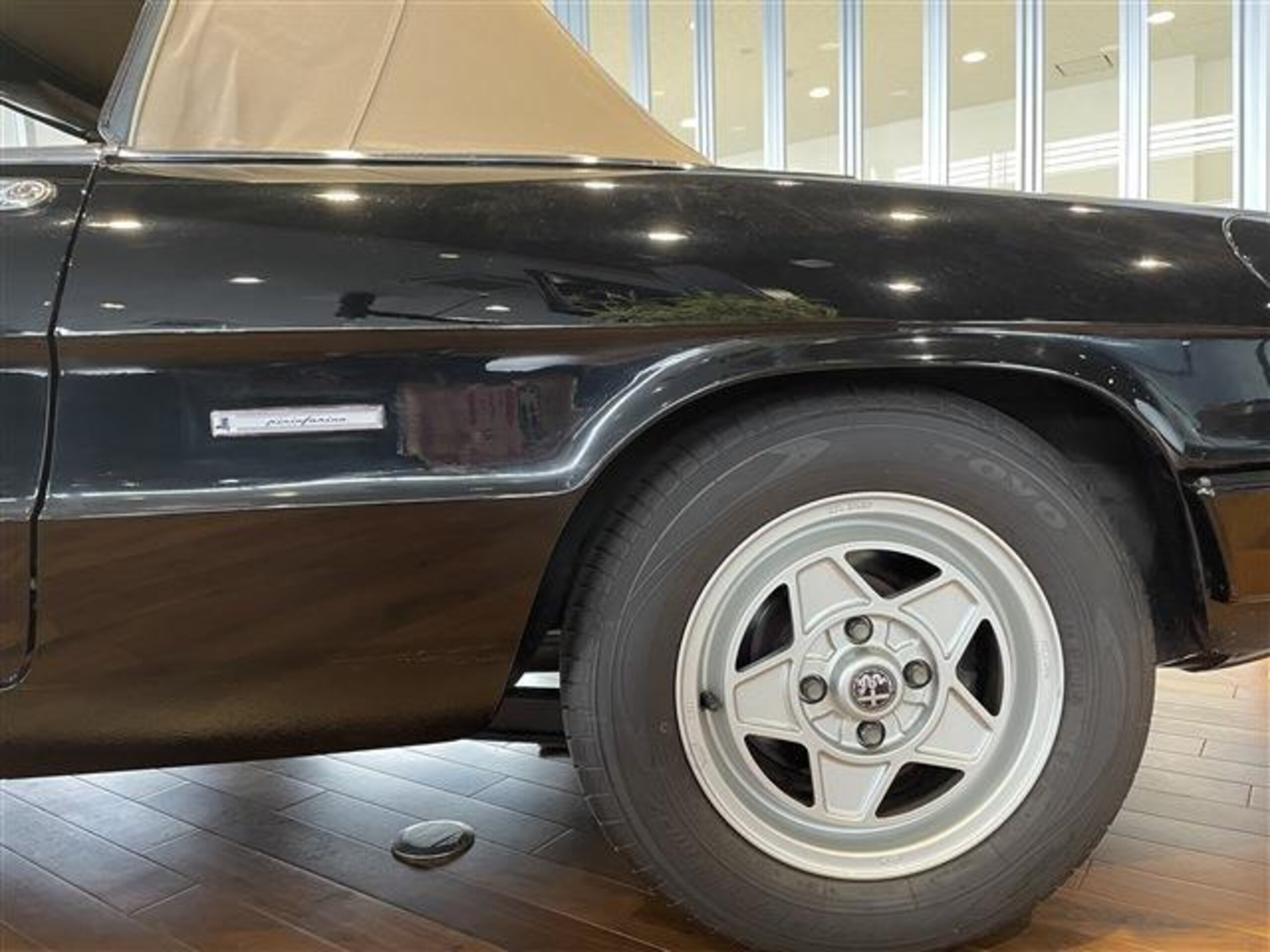 Alfa Romeo Spider (photo: 10)