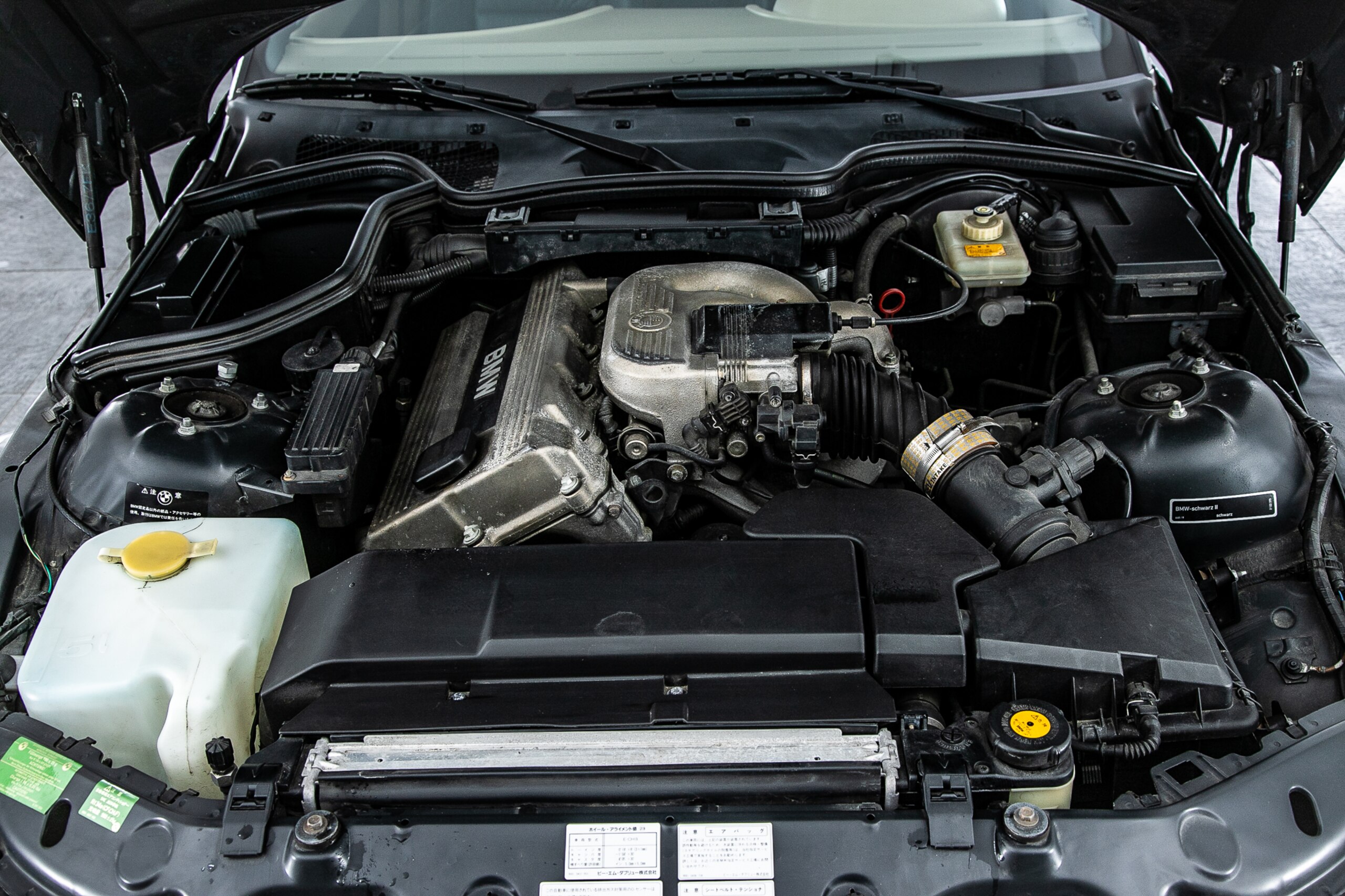 BMW Z3 Roadster (photo: 25)