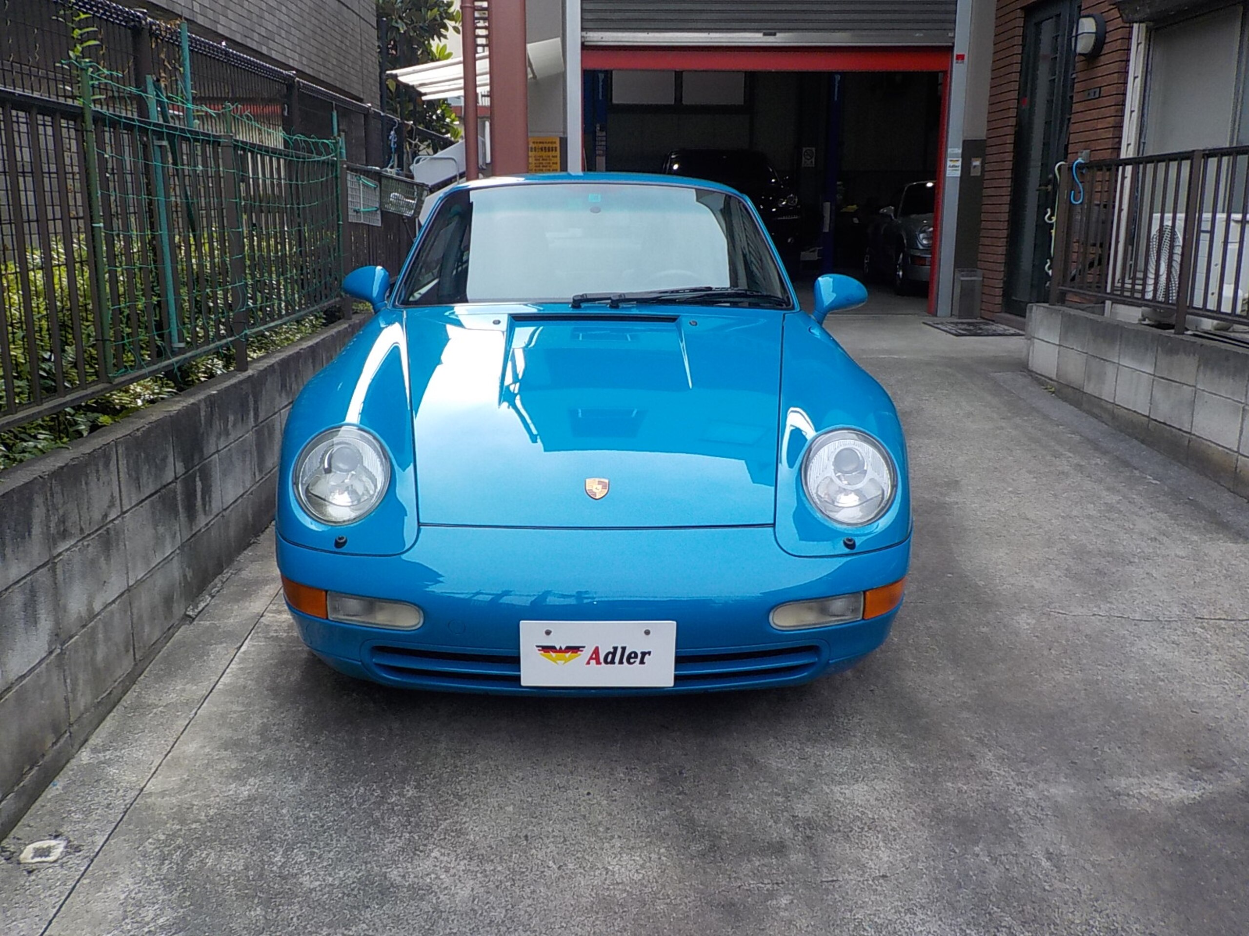 Porsche 911 Carrera (photo: 1)