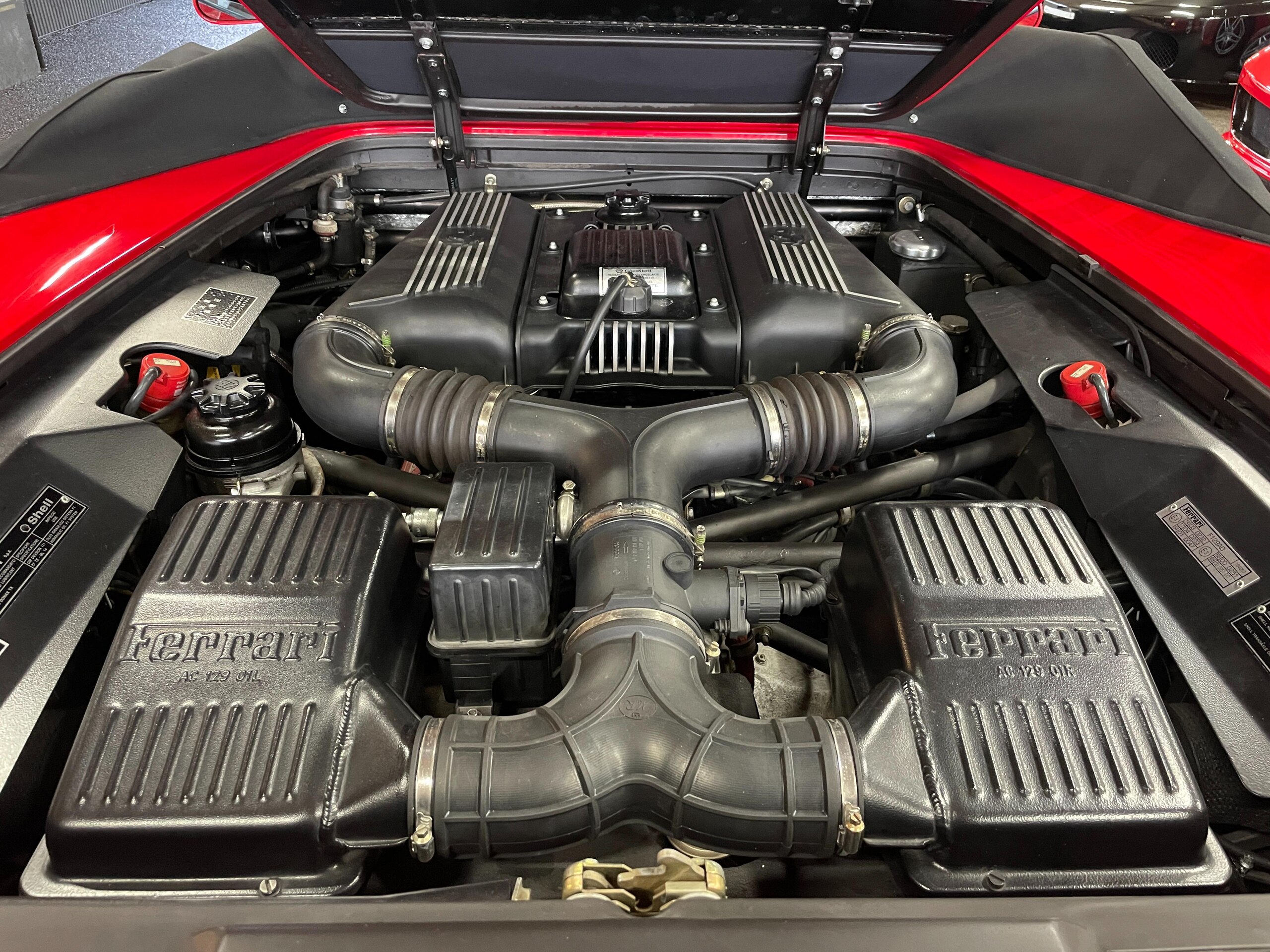 Ferrari F355 Spider F1 (photo: 22)