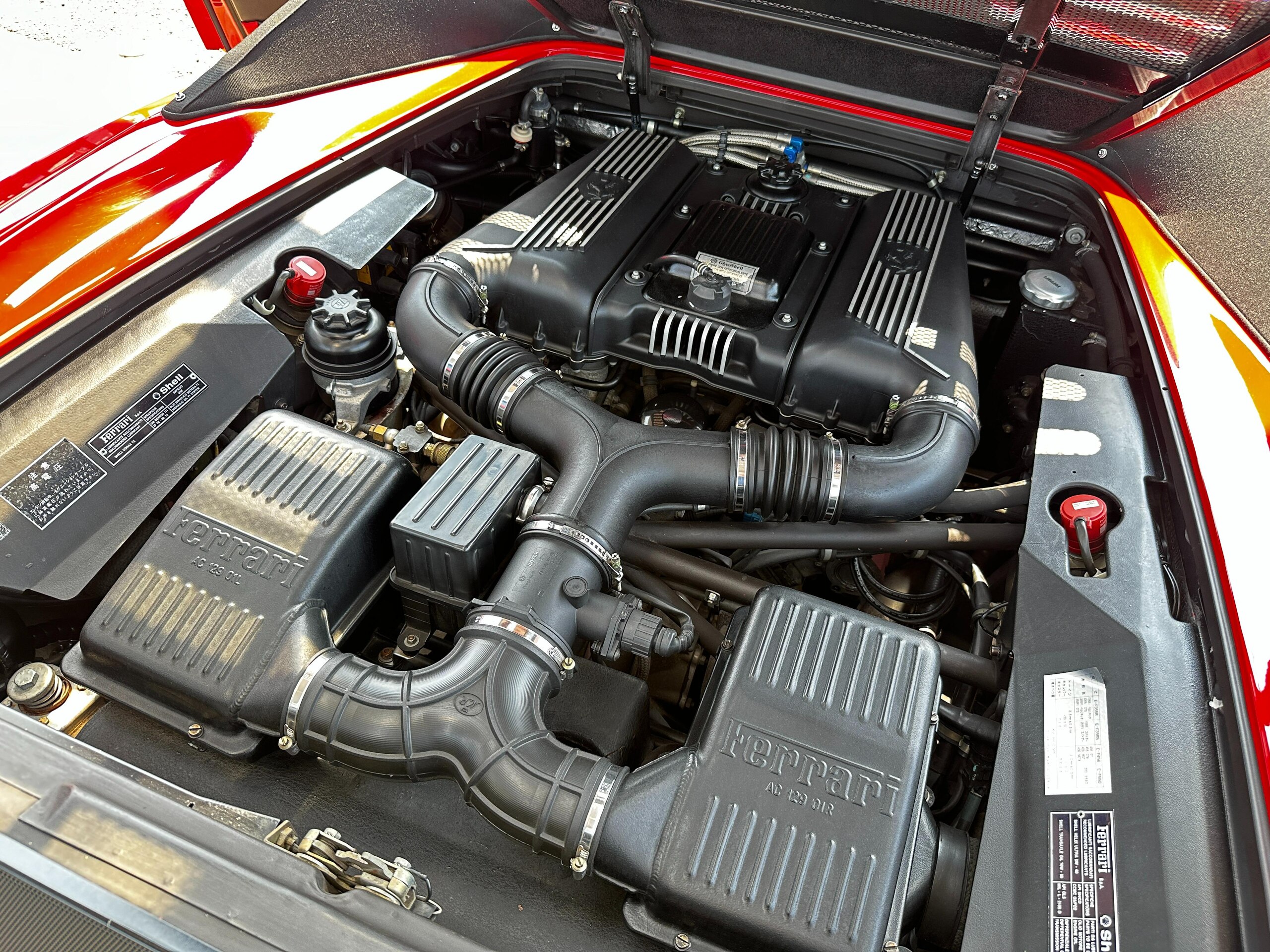 Ferrari F355 Spider F1 (photo: 17)